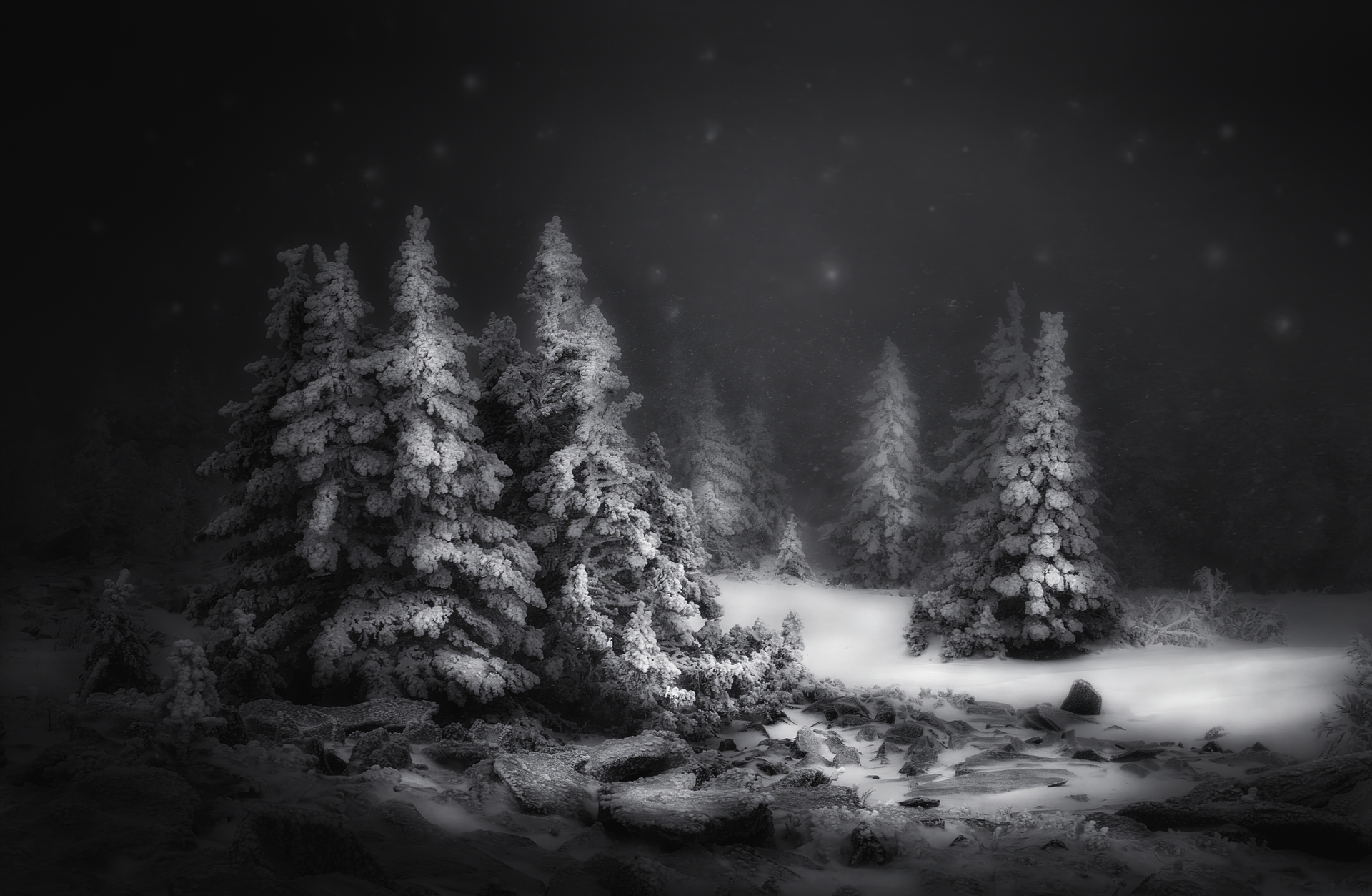 Snow Winter Monochrome Trees Snowflake Snowflakes Snowing Vignette Dark Minimalism Tatiana Biryukova 1920x1253