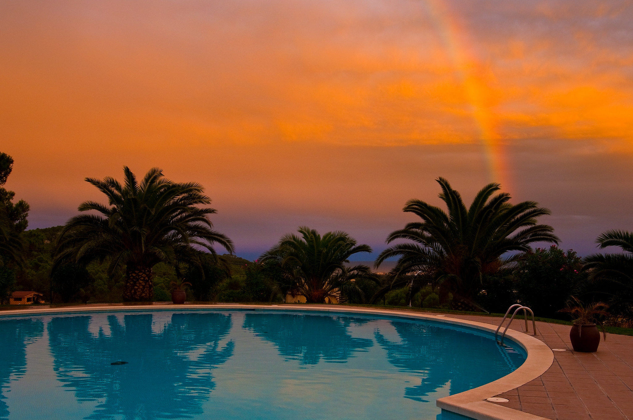 Palm Tree Pool Rainbow Sunset 2048x1360