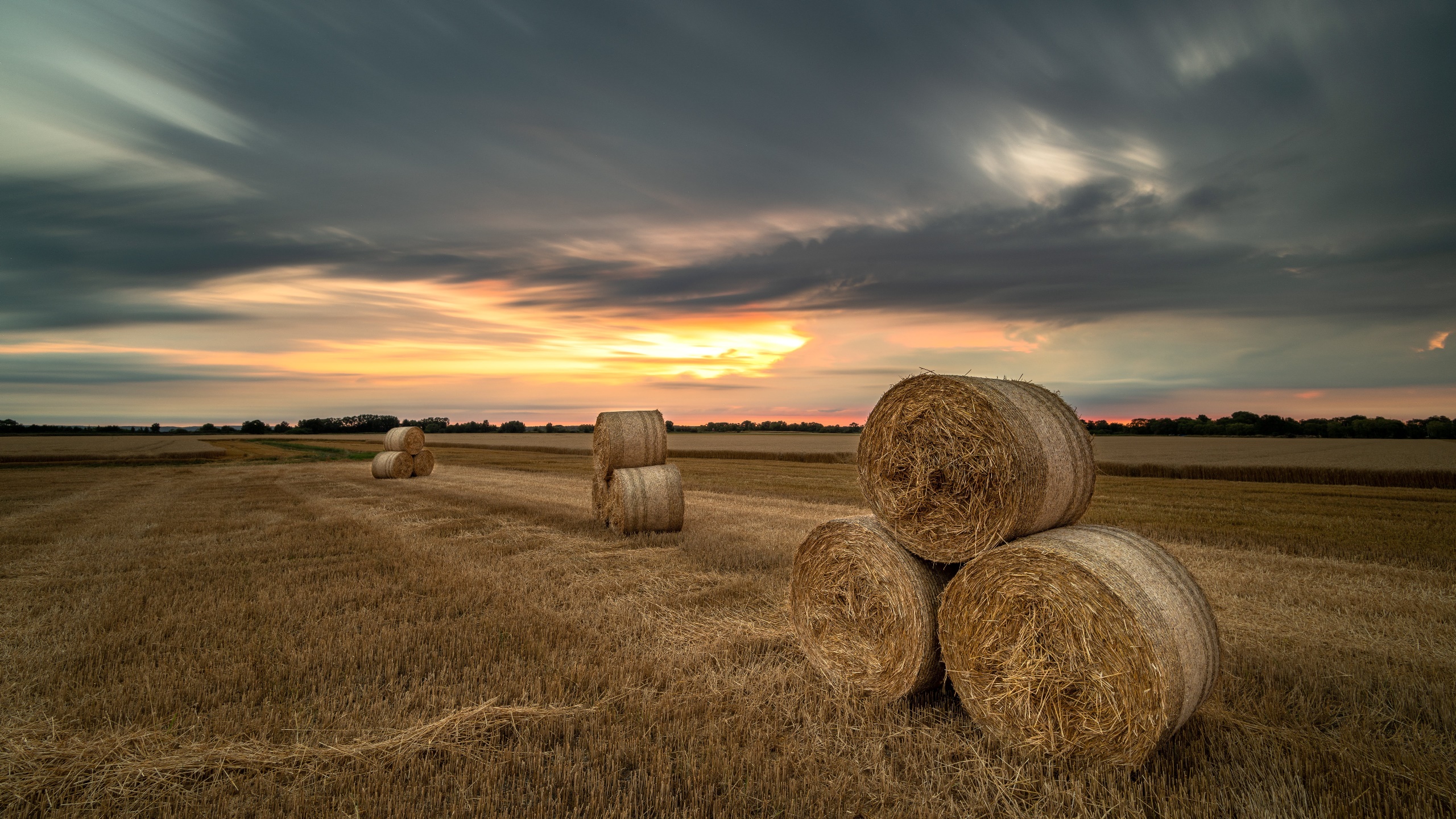 Field Outdoors Straw Sky 2560x1440