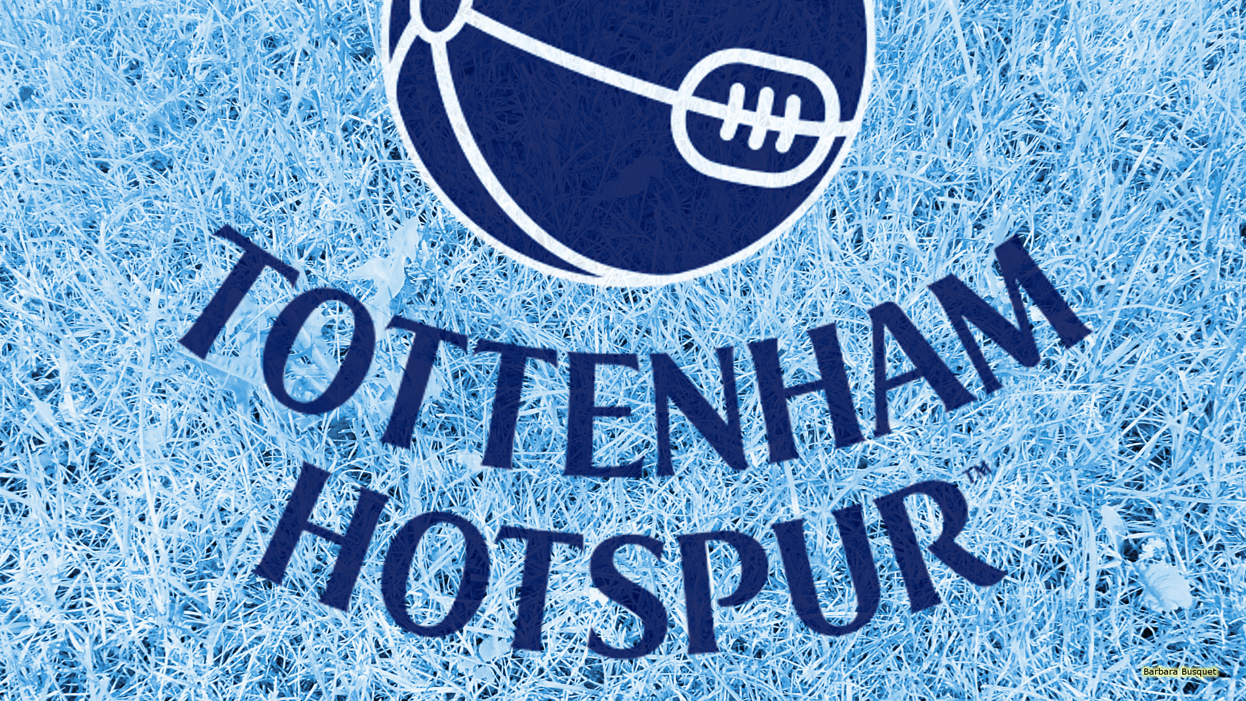 Emblem Logo Soccer Tottenham Hotspur F C 2560x1440