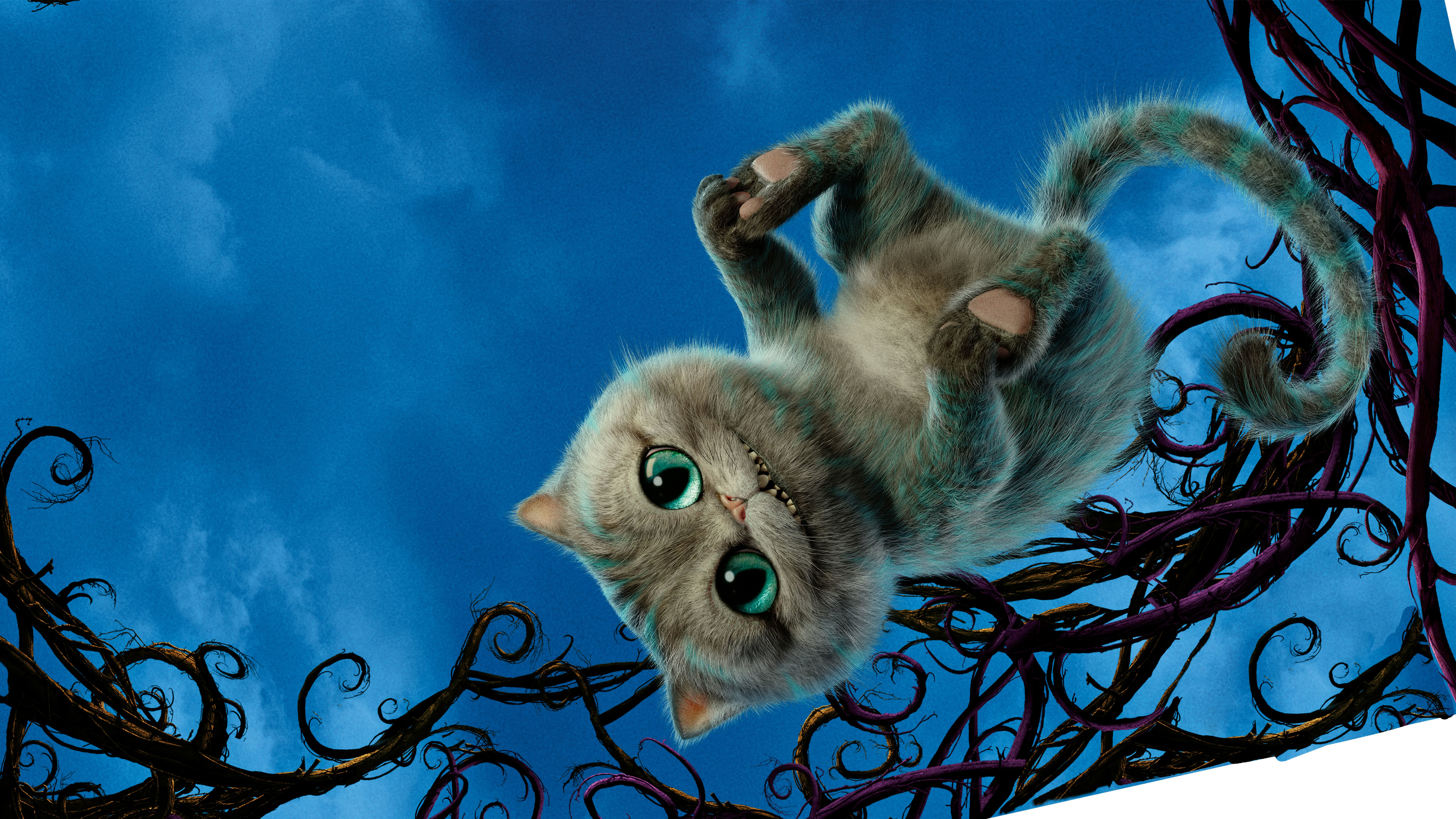 Cheshire Cat Alice In Wonderland 6000x3375