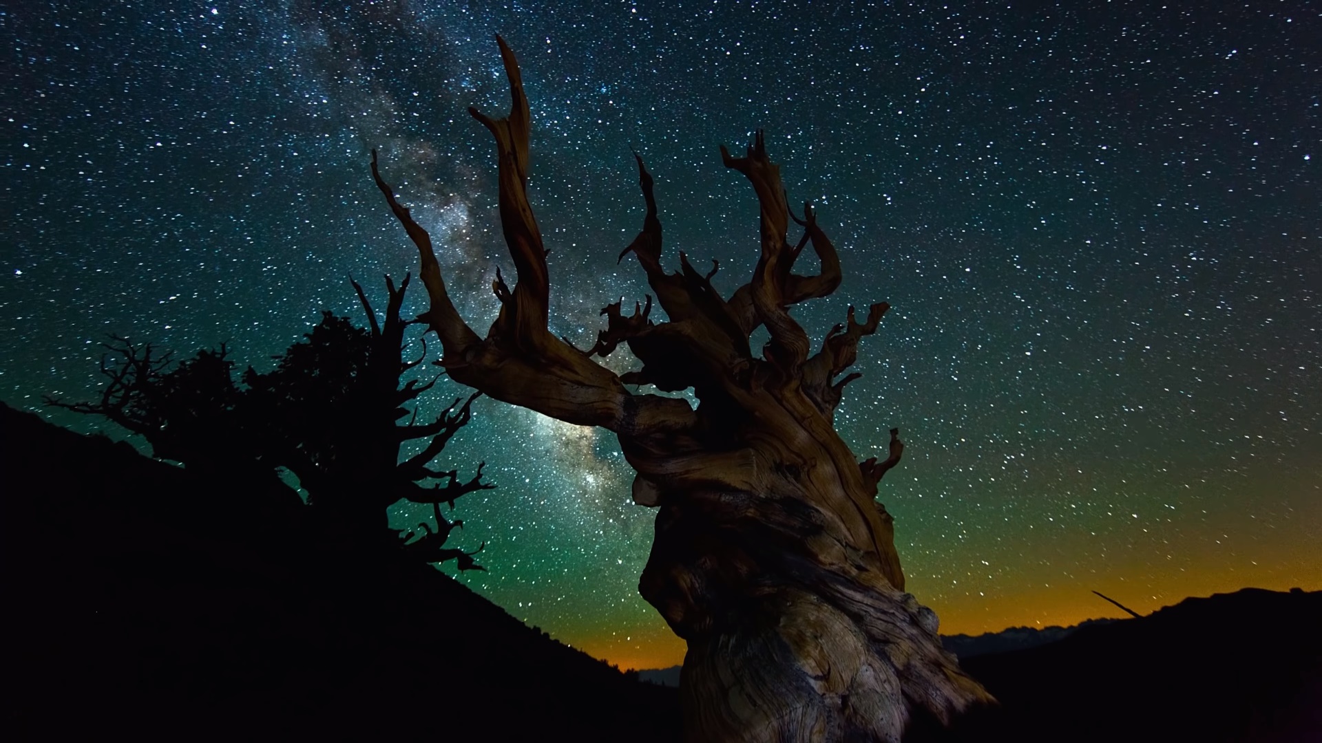 Earth Milky Way Night Sky Stars Tree 1920x1080