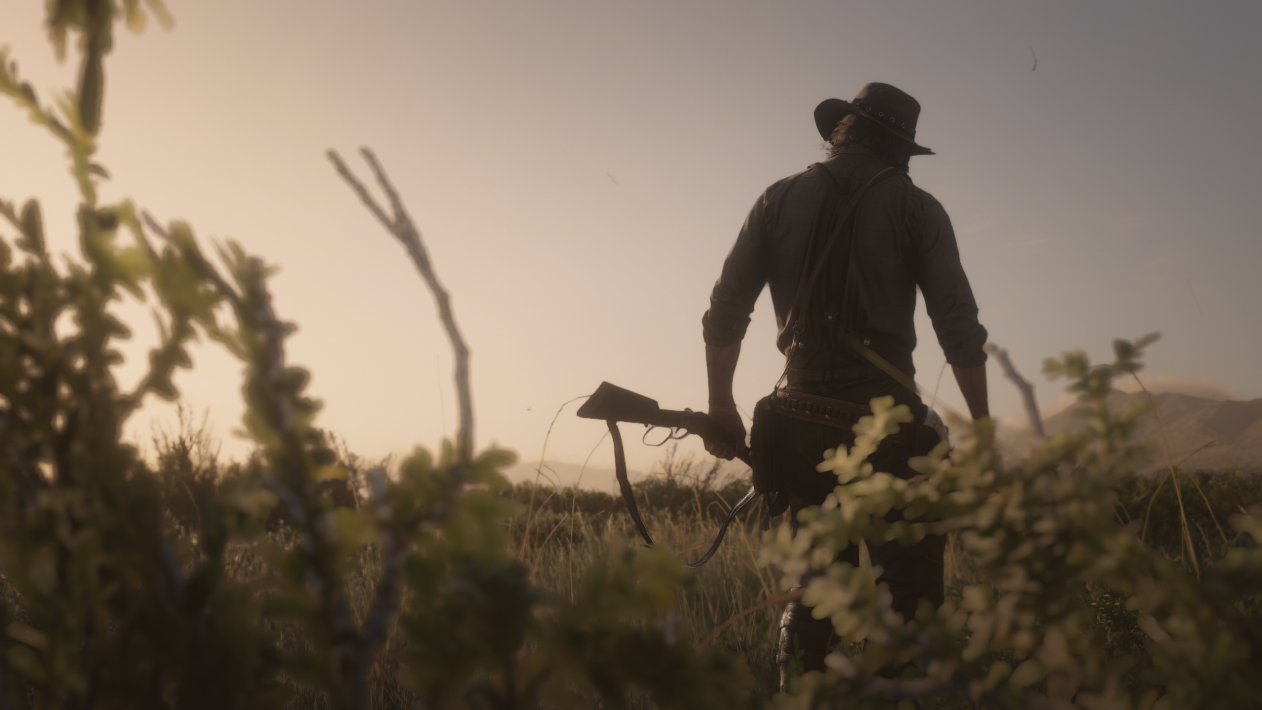 Red Dead Redemption Ii Red Dead Redemption 2 Red Dead Redemption John Marston Game Characters Wester 2560x1440