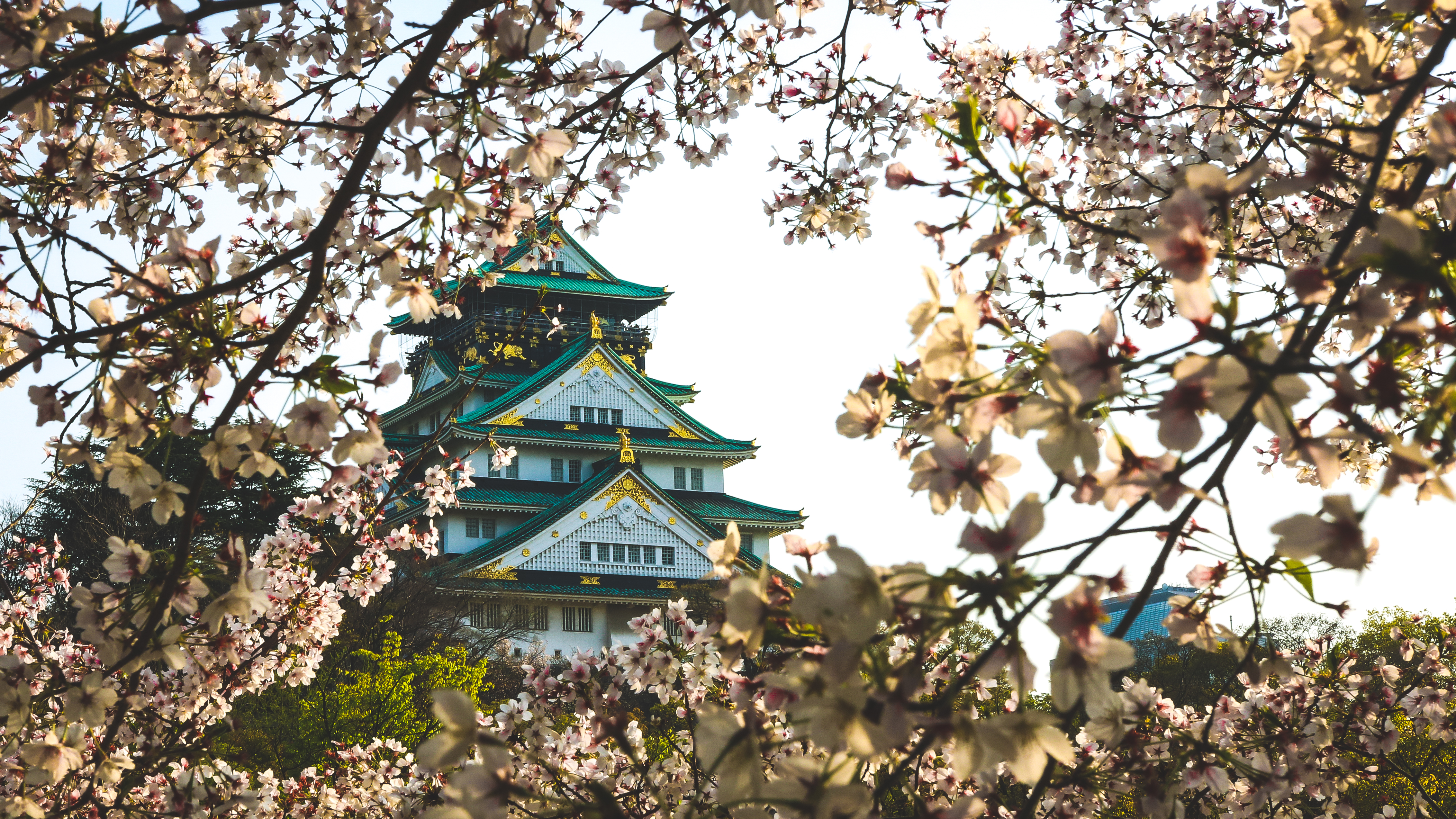 Japan Osaka Osaka Castle Castle 4529x2548