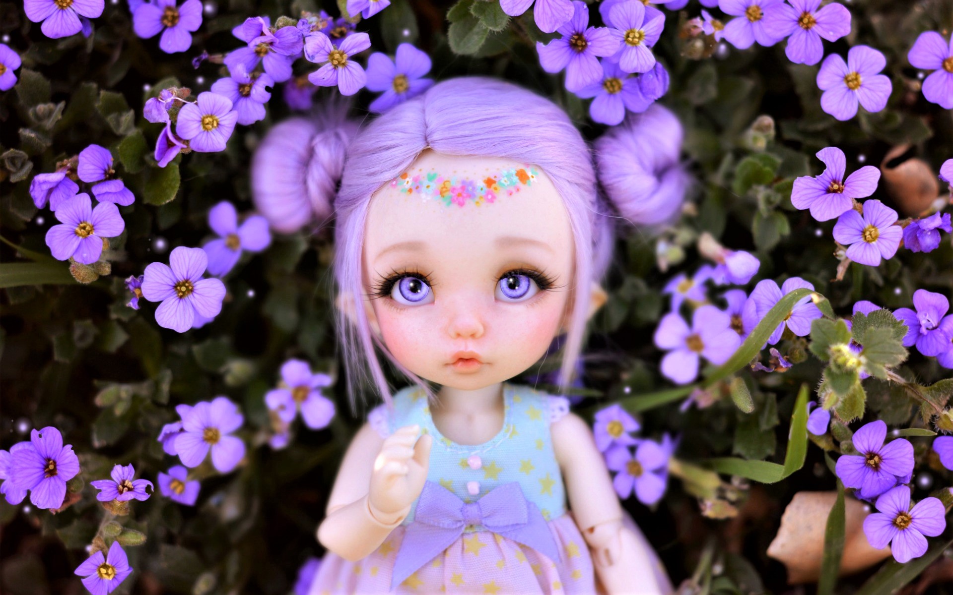 Doll Eye Fantasy Flower Purple Flower 1920x1200