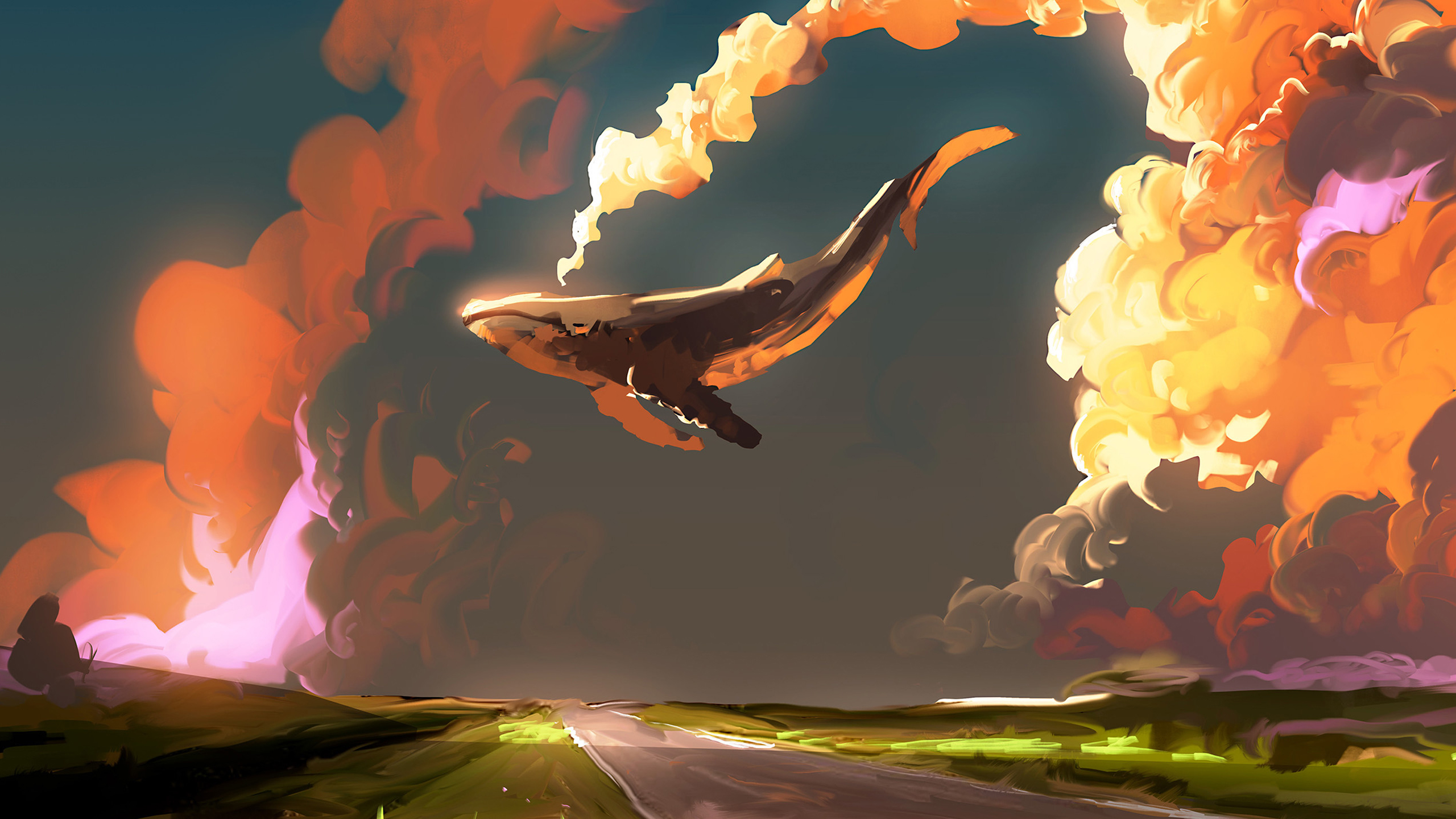 Whale Whale Shark Sky Artwork Fantasy Art Dominik Mayer 2560x1440
