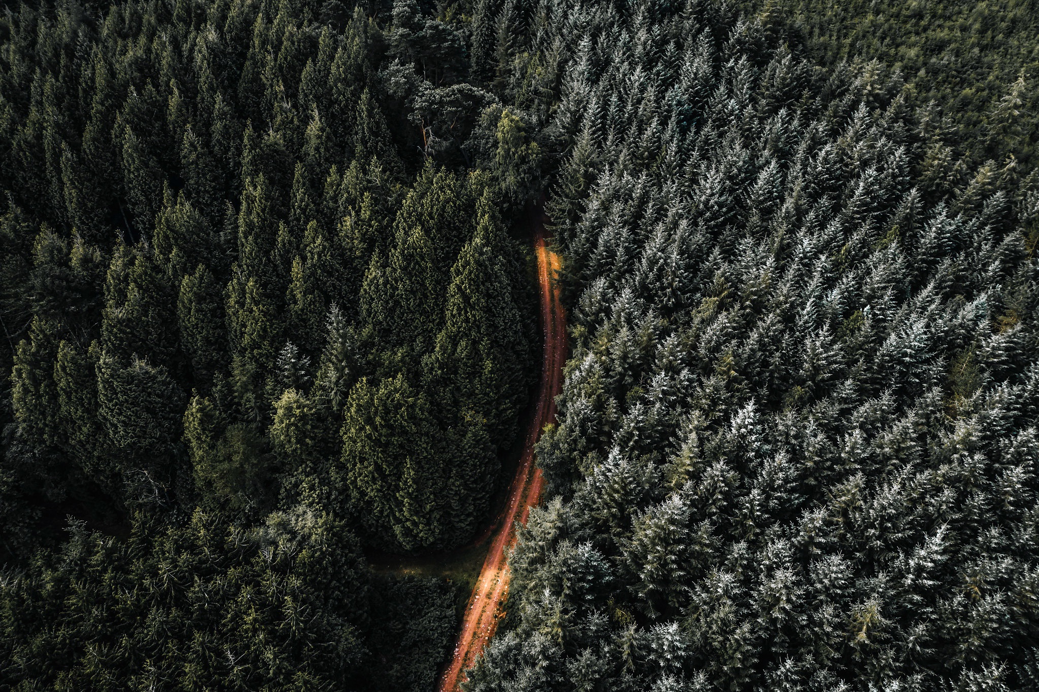 Aerial Forest Road 2048x1365