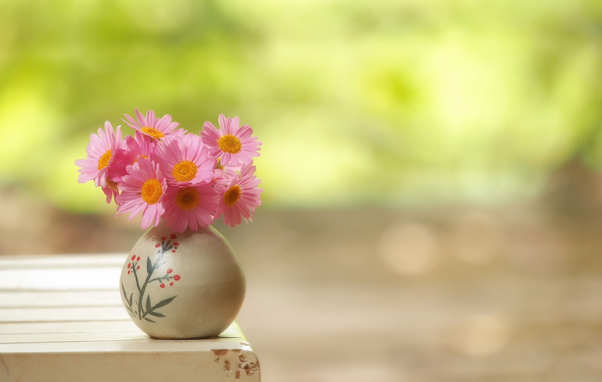 Daisy Flower Vase 2048x1300