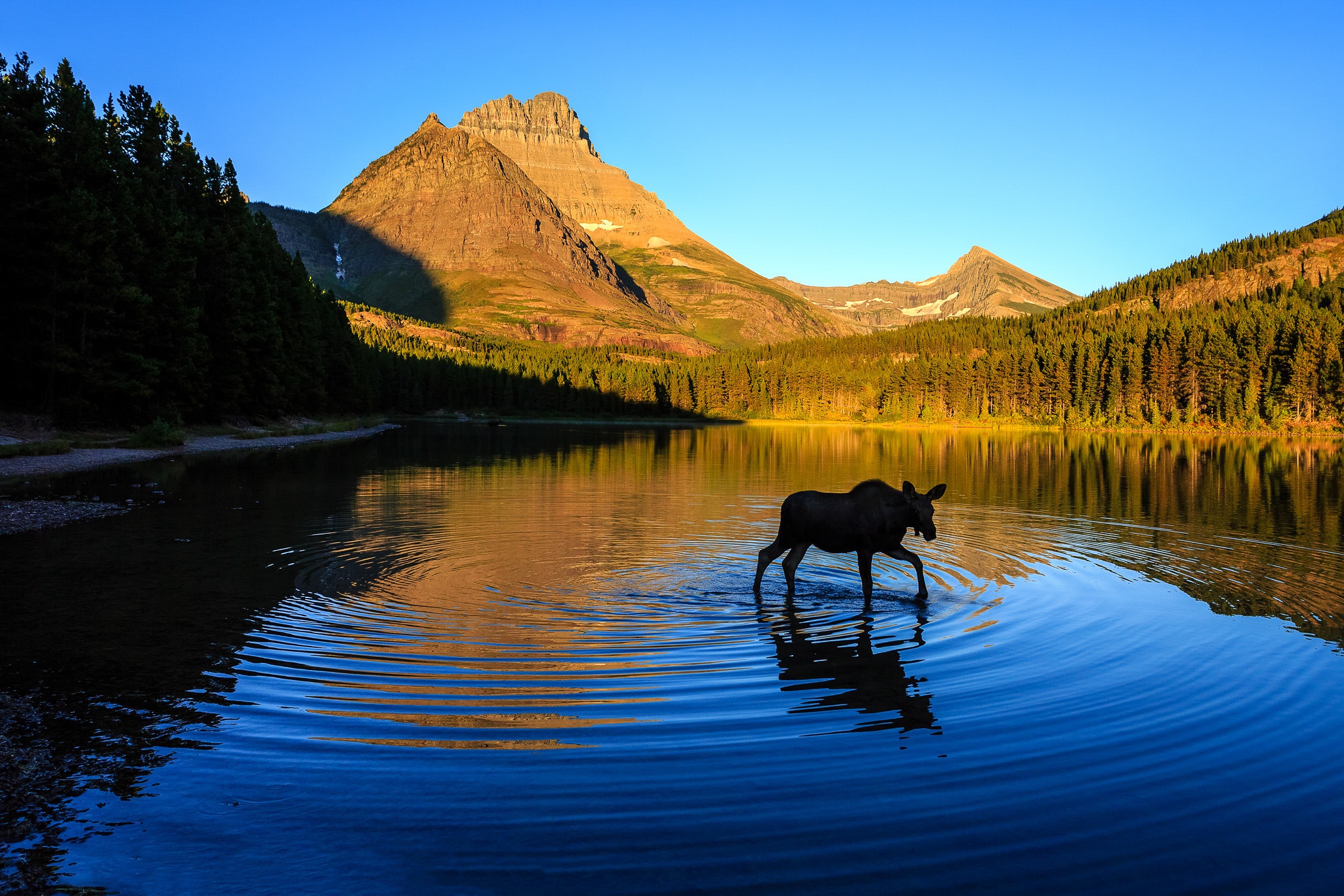 Forest Lake Moose Mountain 2048x1365