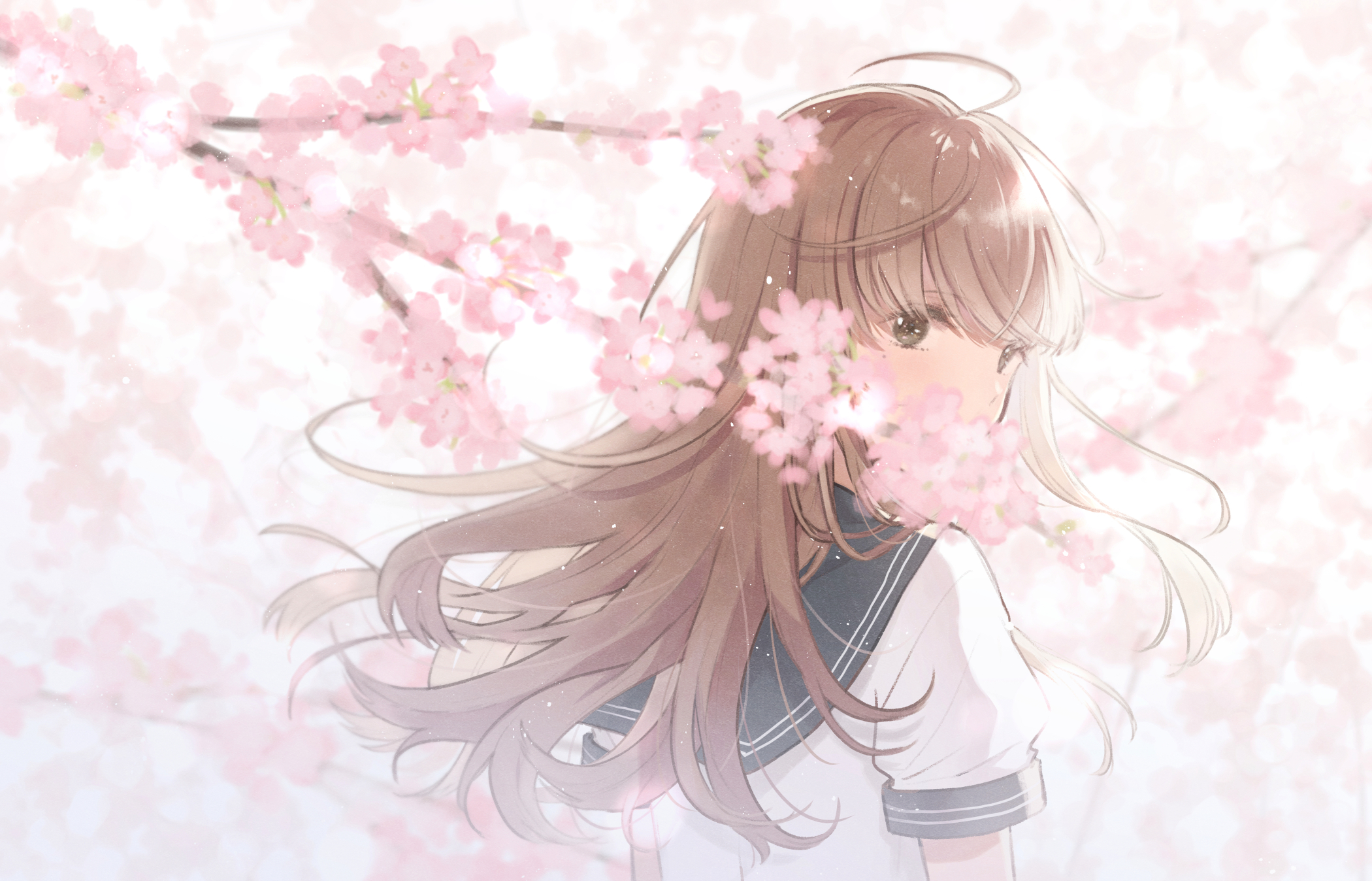 Girl Sakura 2100x1348