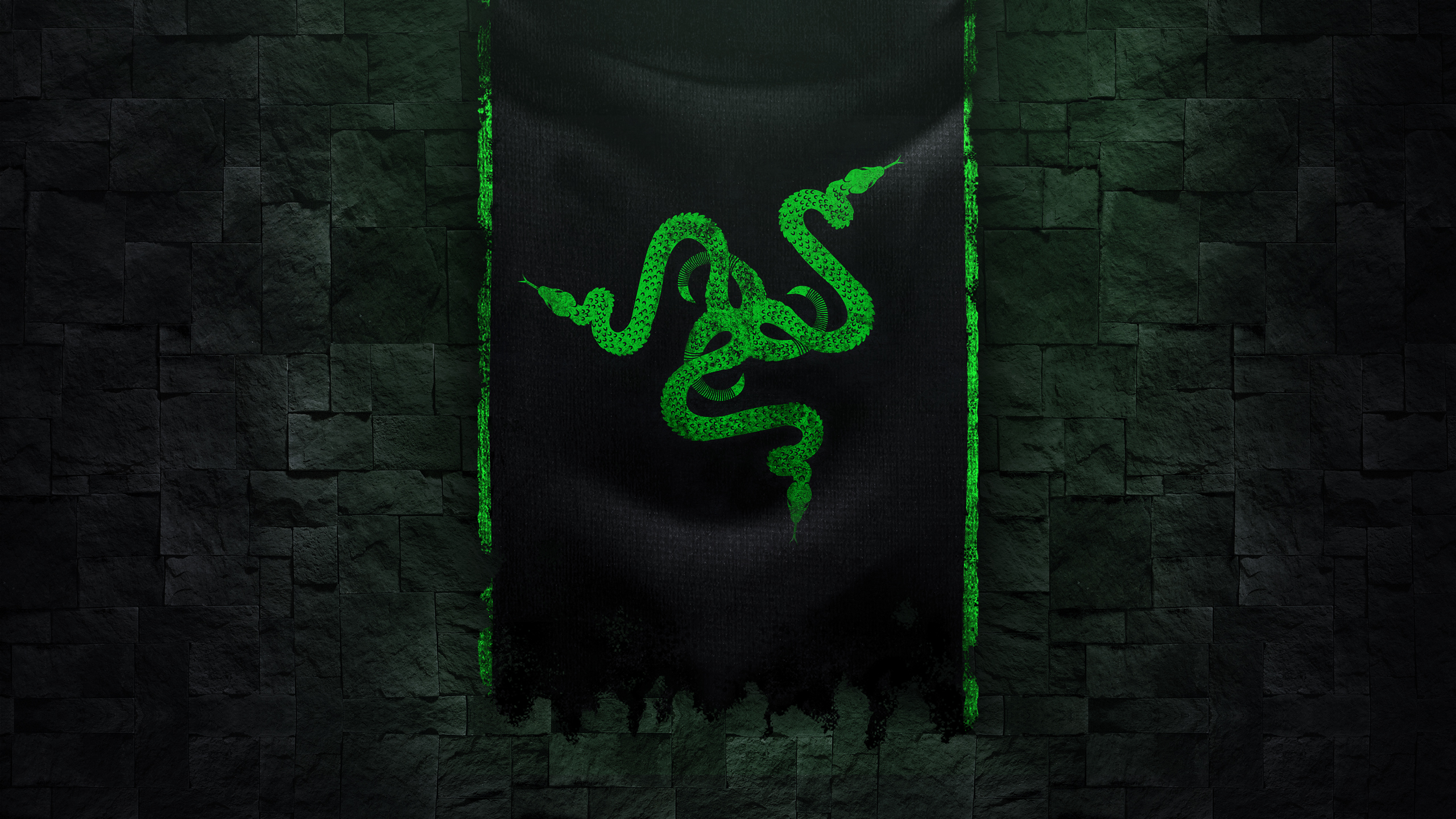 Razer Razer Inc Brand Green Gaming Series Snake Logo Company 2560x1440