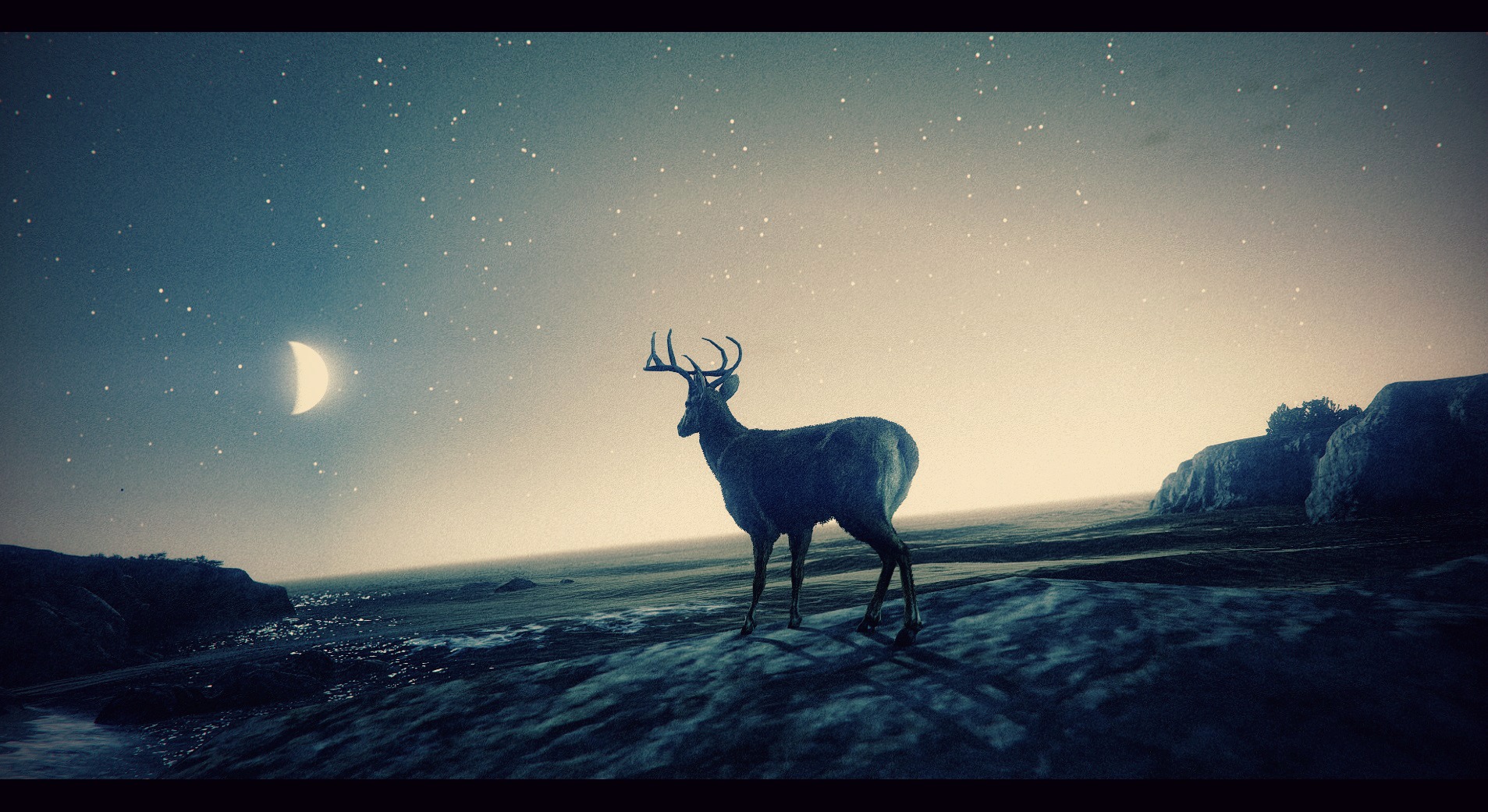 Deer Grand Theft Auto V Moon Night Stars 1907x1041