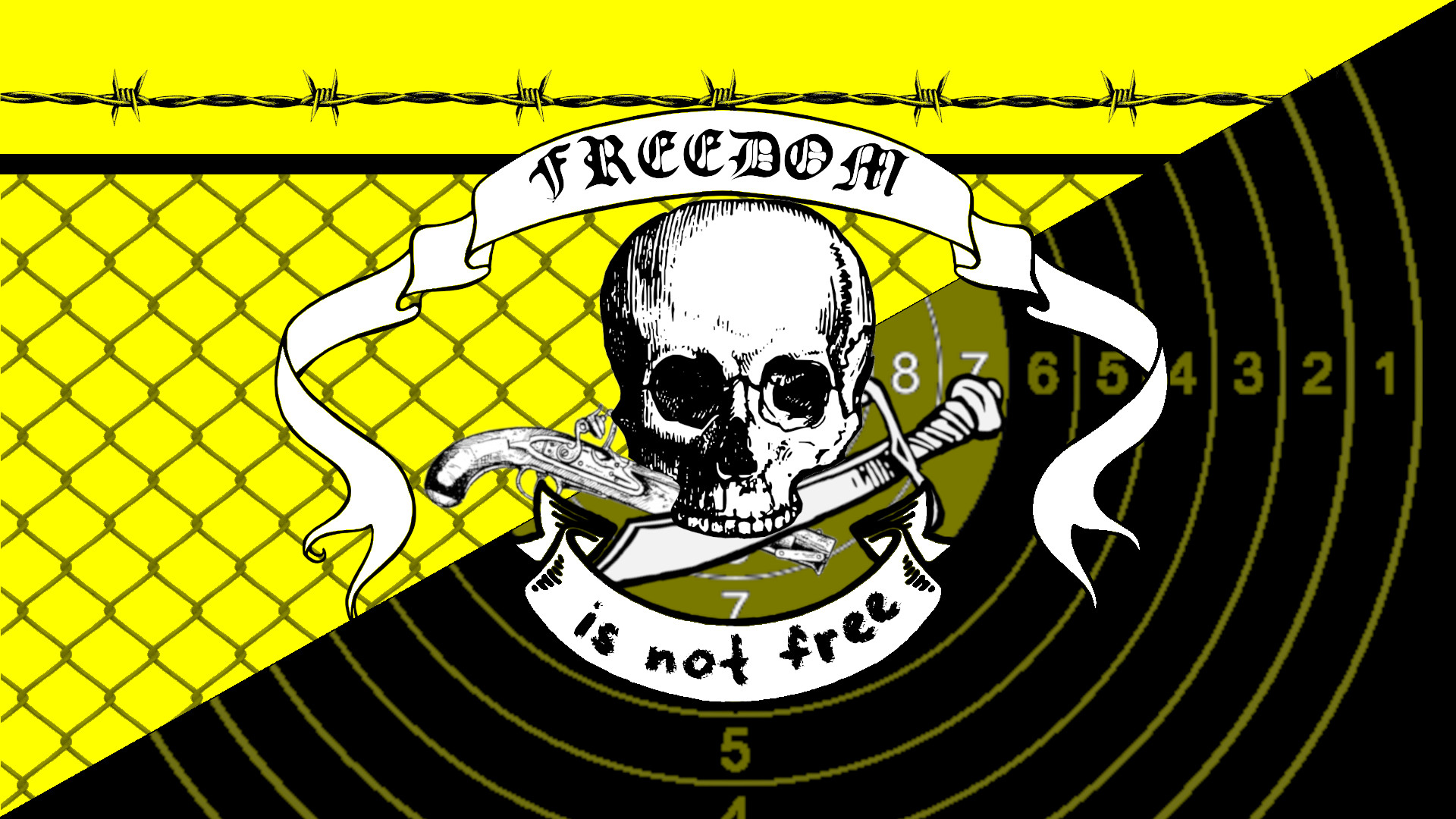 ANCAP Freedom Anarchy Capitalism Libertarianism Guns And Men Black Yellow Skull Liberty Pirate Flag  1920x1080