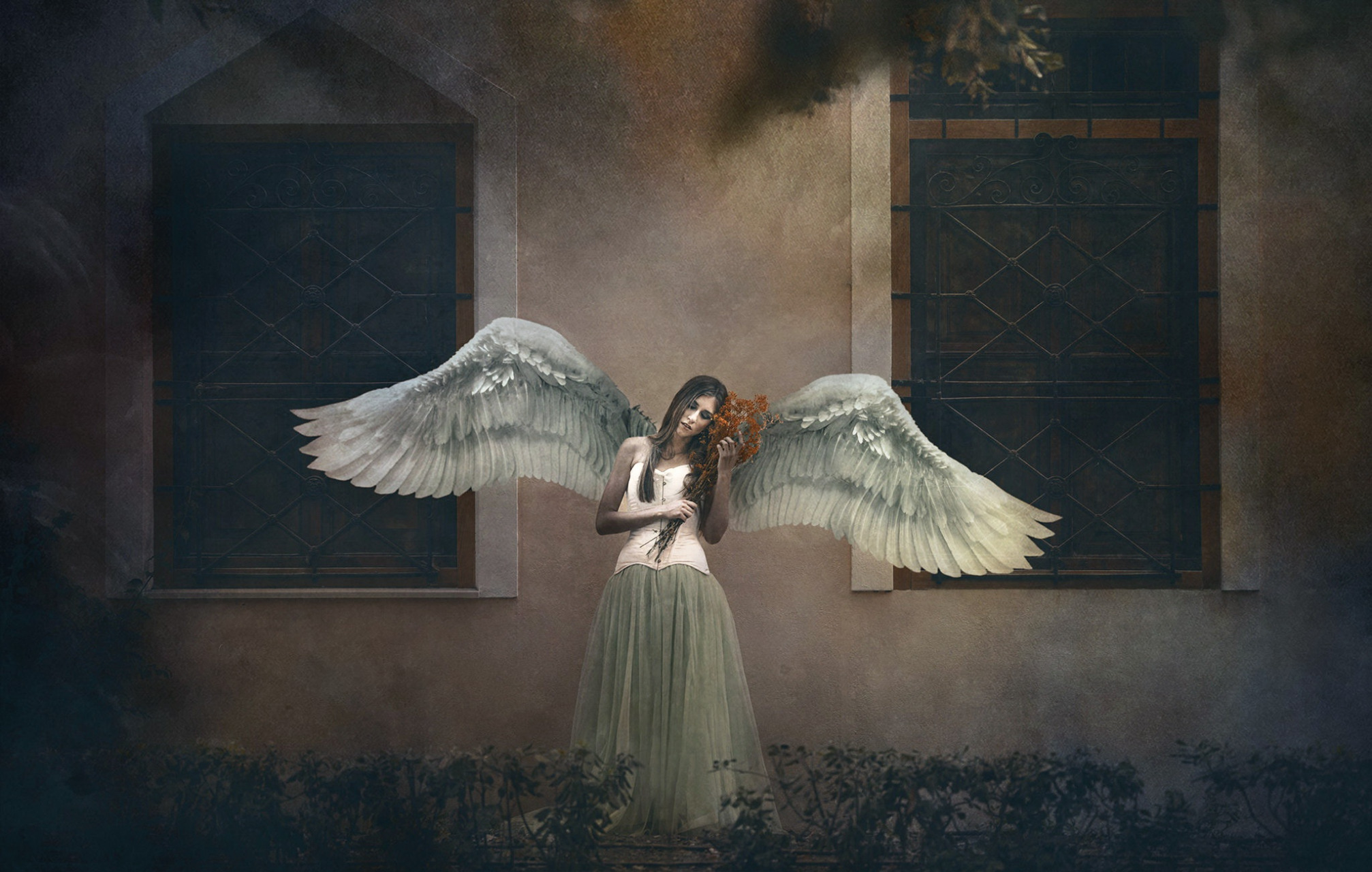 Angel Window Wings 2014x1280