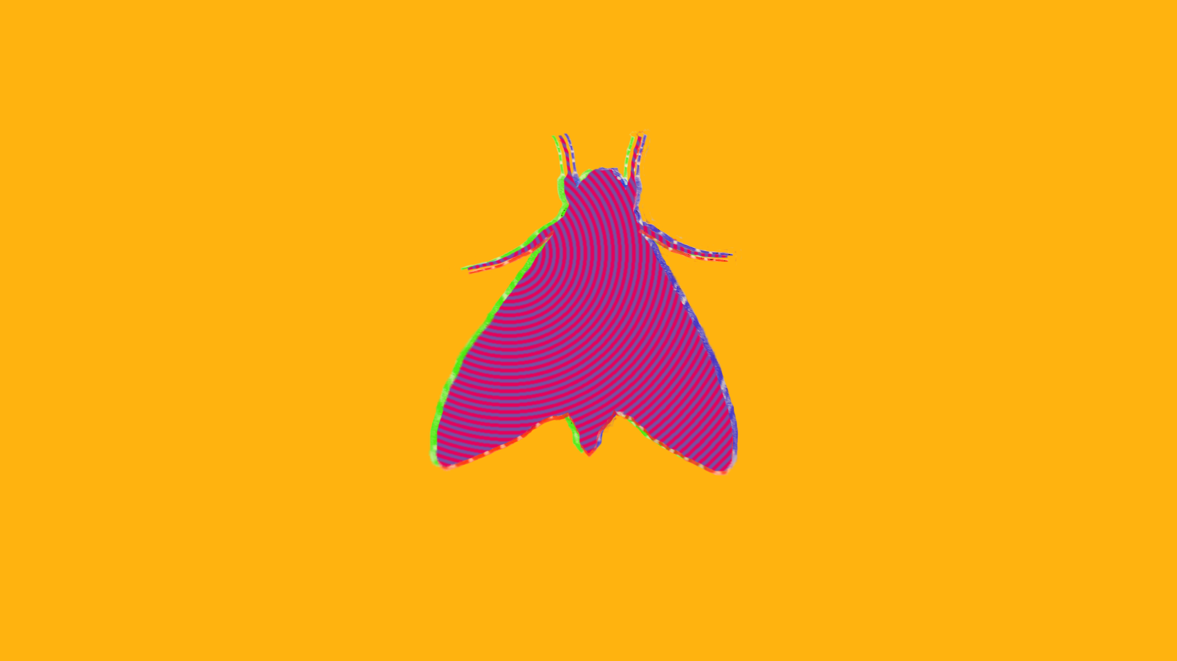 Moth Insect Yellow Purple Minimalism Abstract Trippy Psychedelic 1702x957
