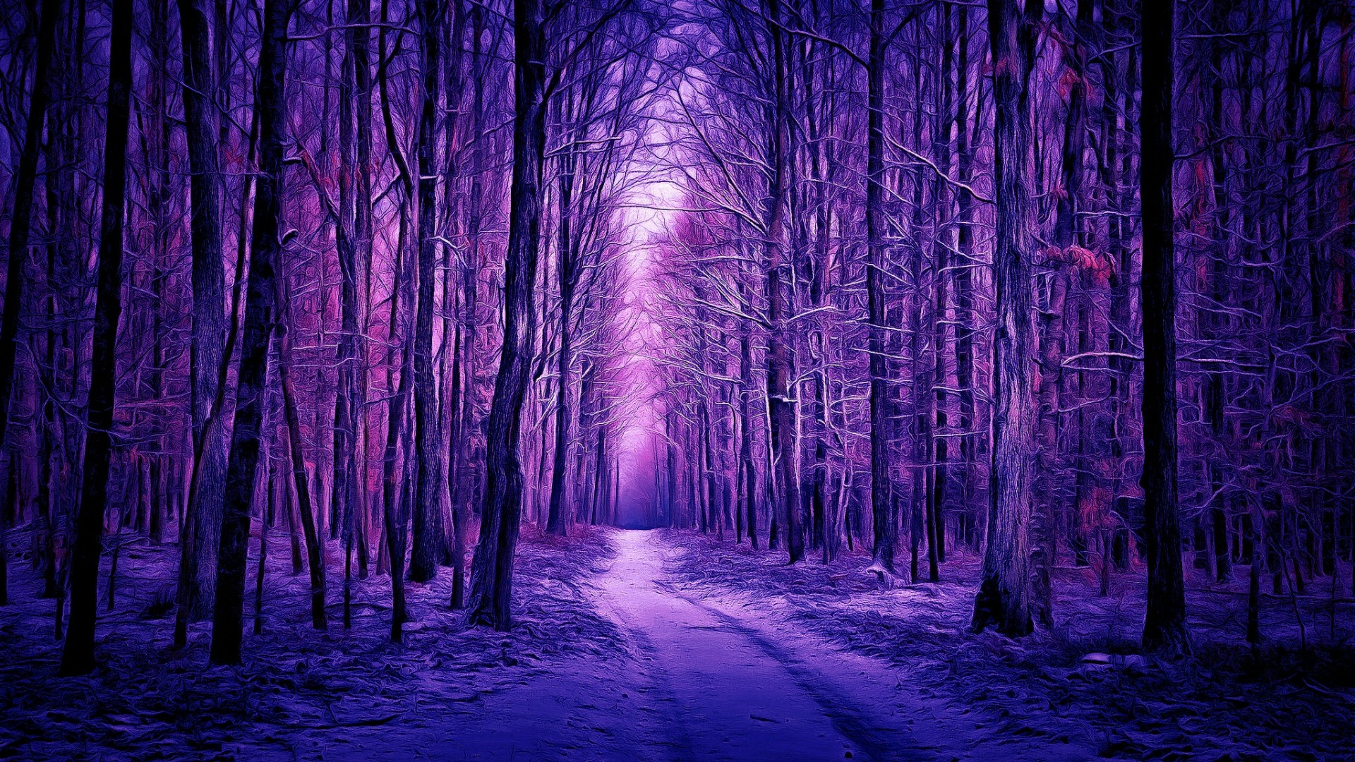 Forest Path Purple Snow Tree 1920x1080