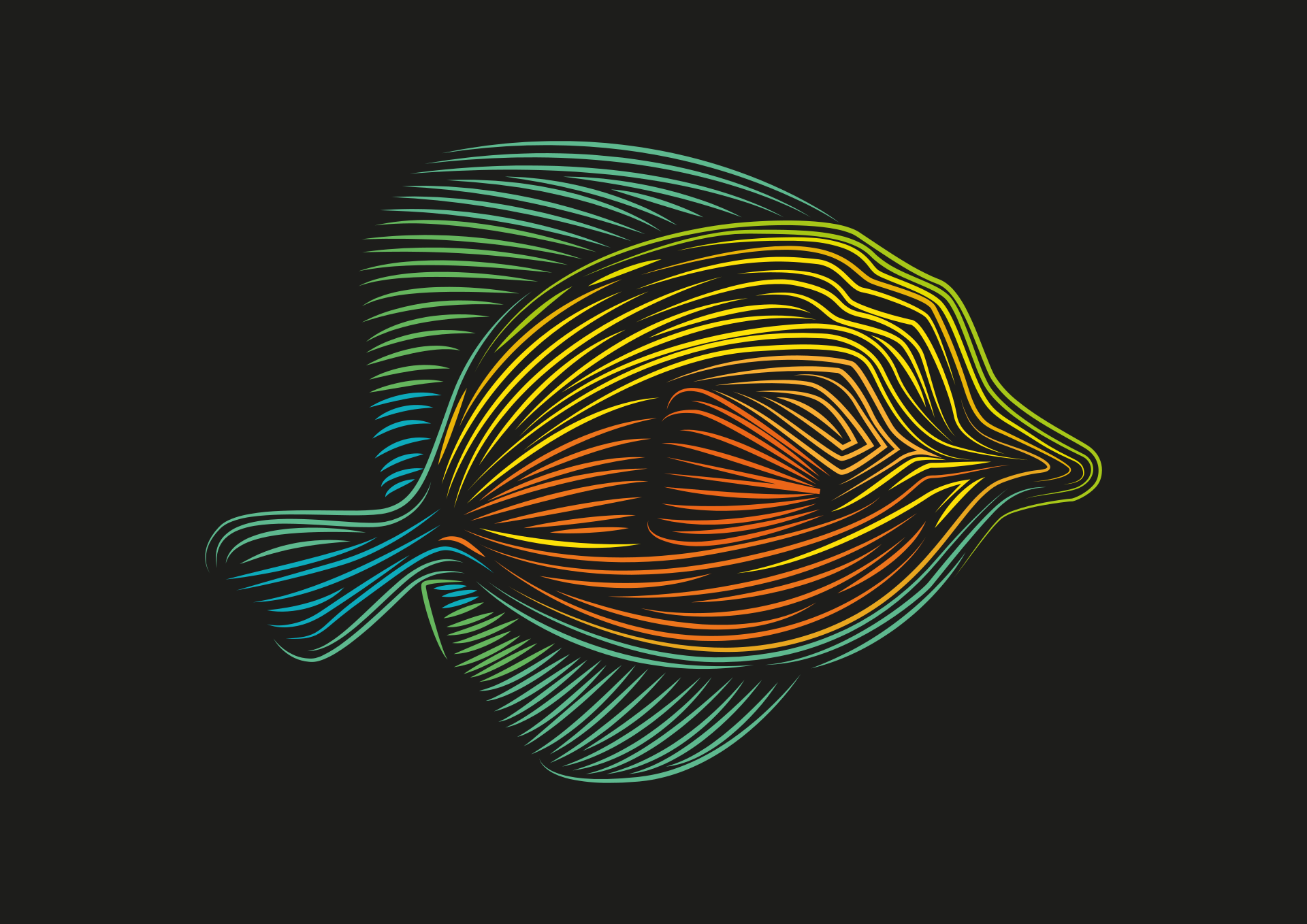 Artistic Colorful Colors Fish Minimalist 1920x1358