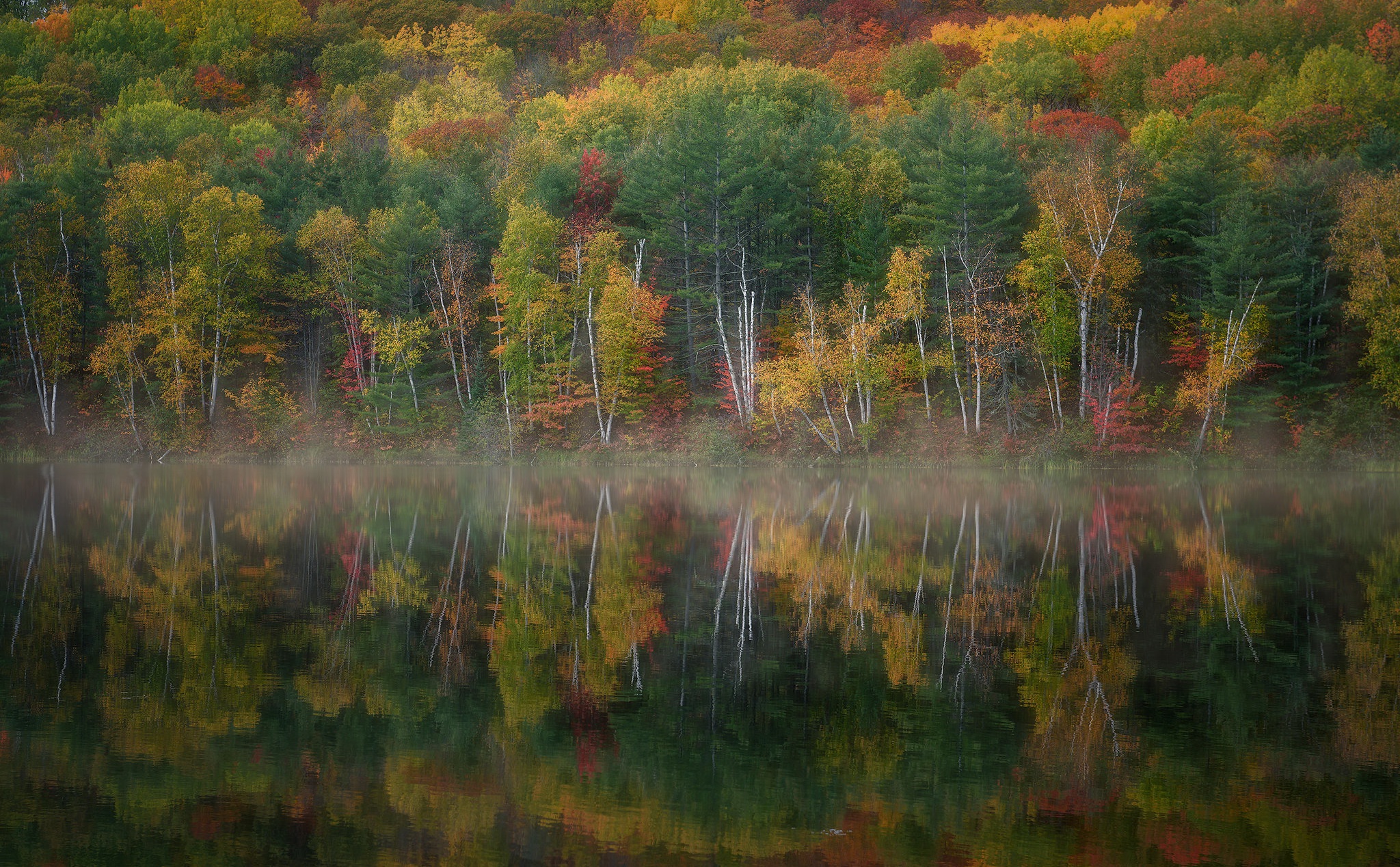 Foliage Lake Nature Reflection 2048x1268