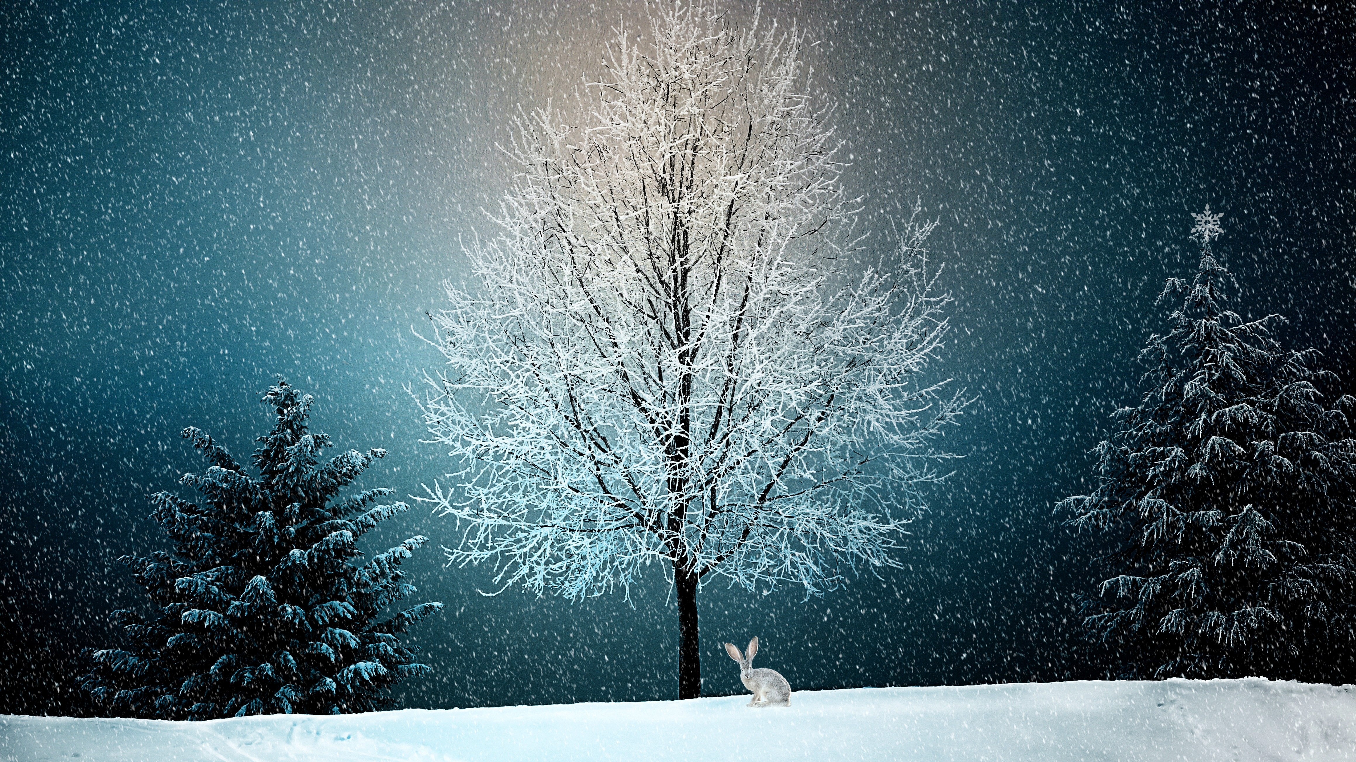 Artistic Bunny Snow Winter 4640x2610