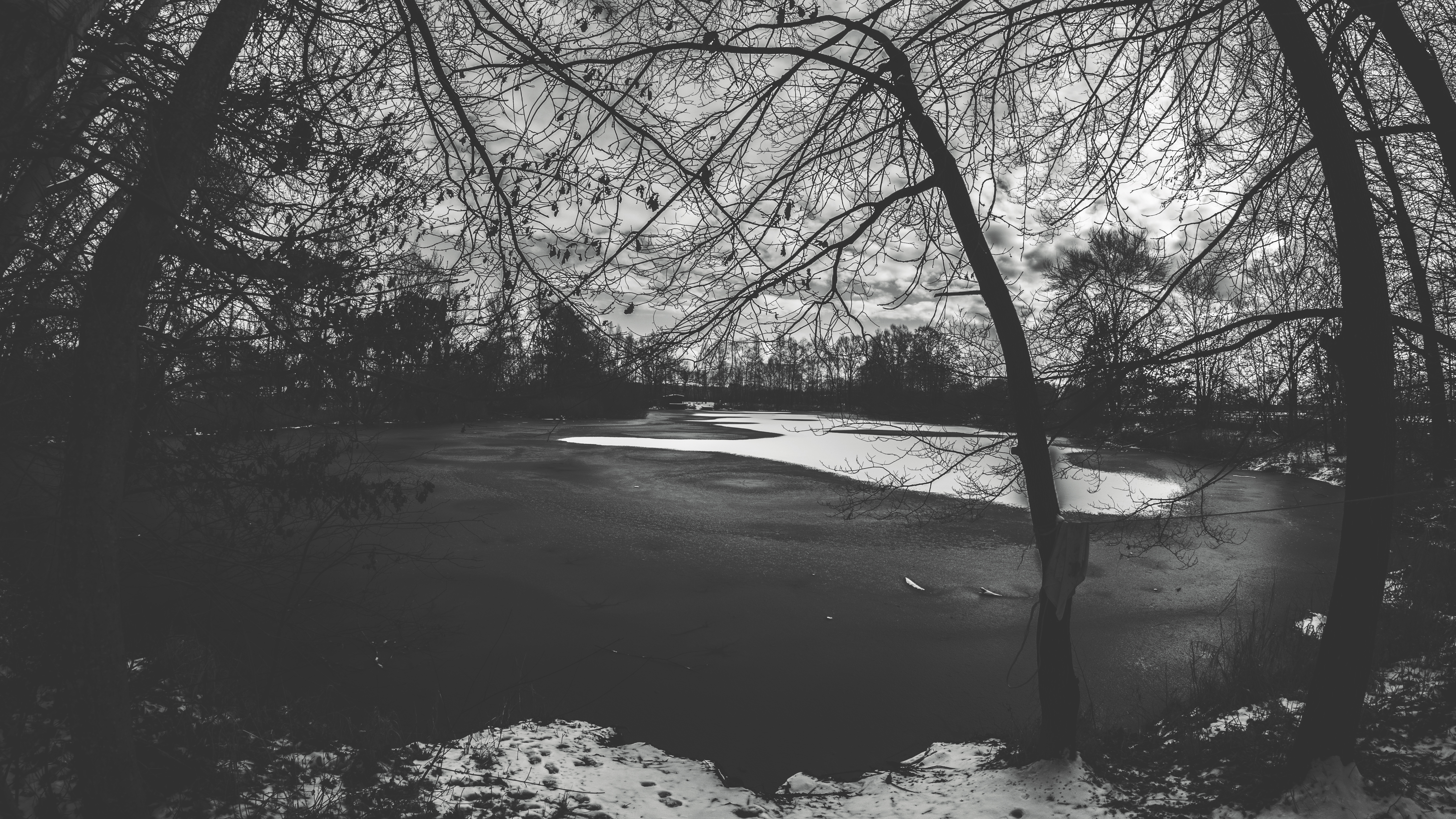 Dark Monochrome Winter Snow Trees Frozen Lake Clouds Outdoors 6000x3376