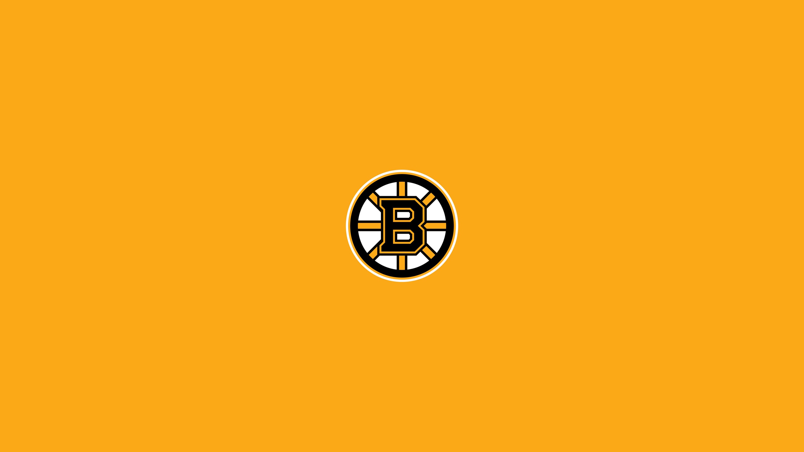 Boston Bruins Emblem Logo Nhl 2560x1440