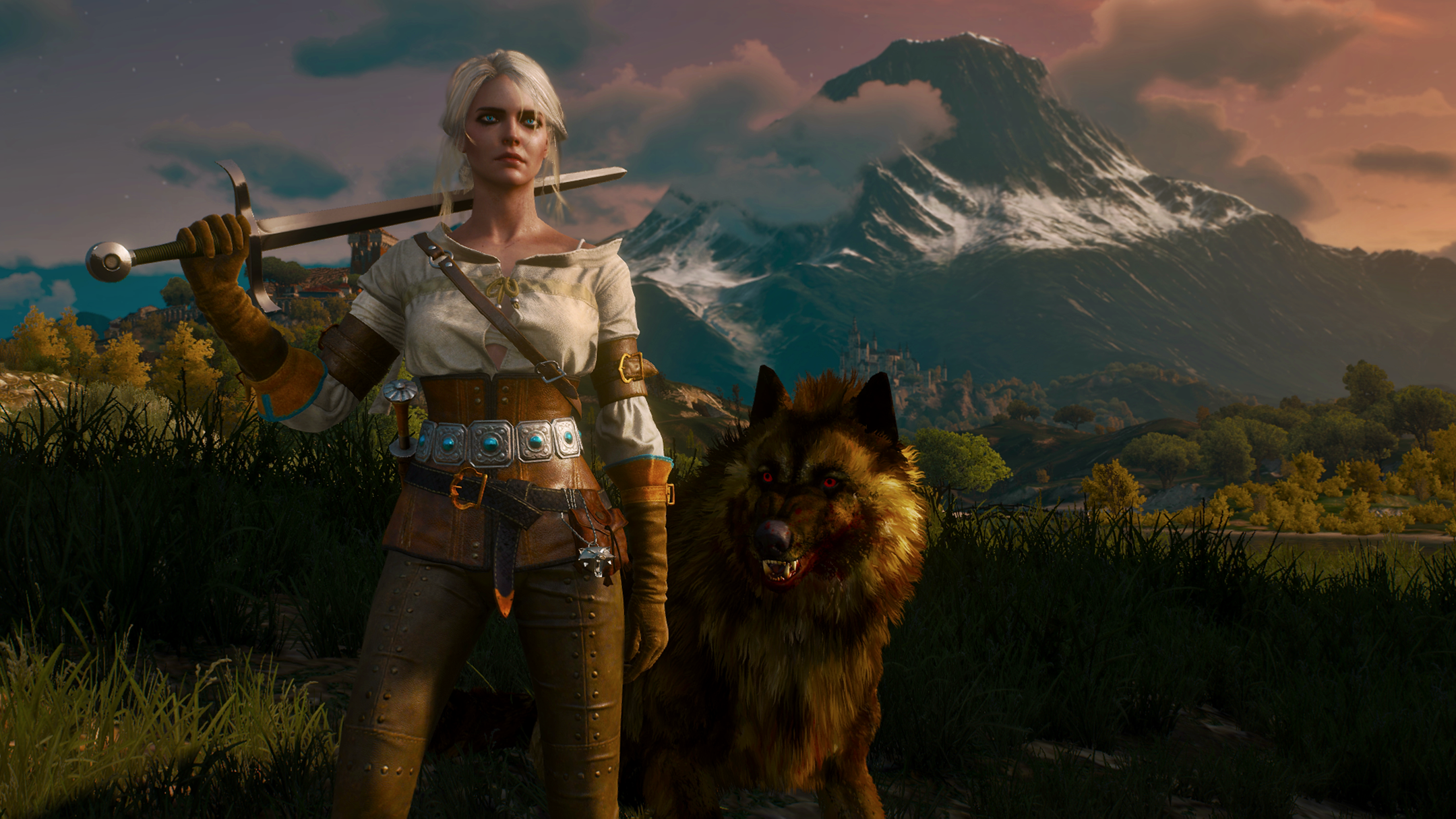 The Witcher The Witcher 3 Wild Hunt 2160x1215