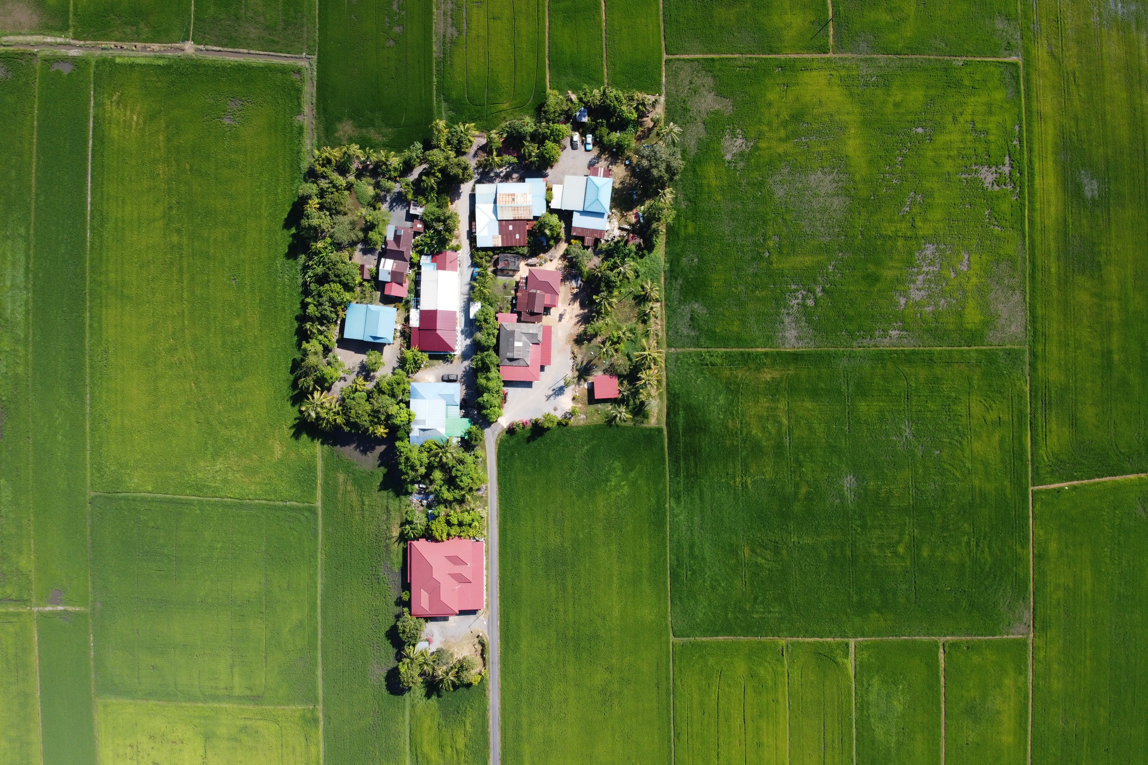 Aerial View Grass House Trees Crops Farm Farm House Farmers Farming 4000x2666