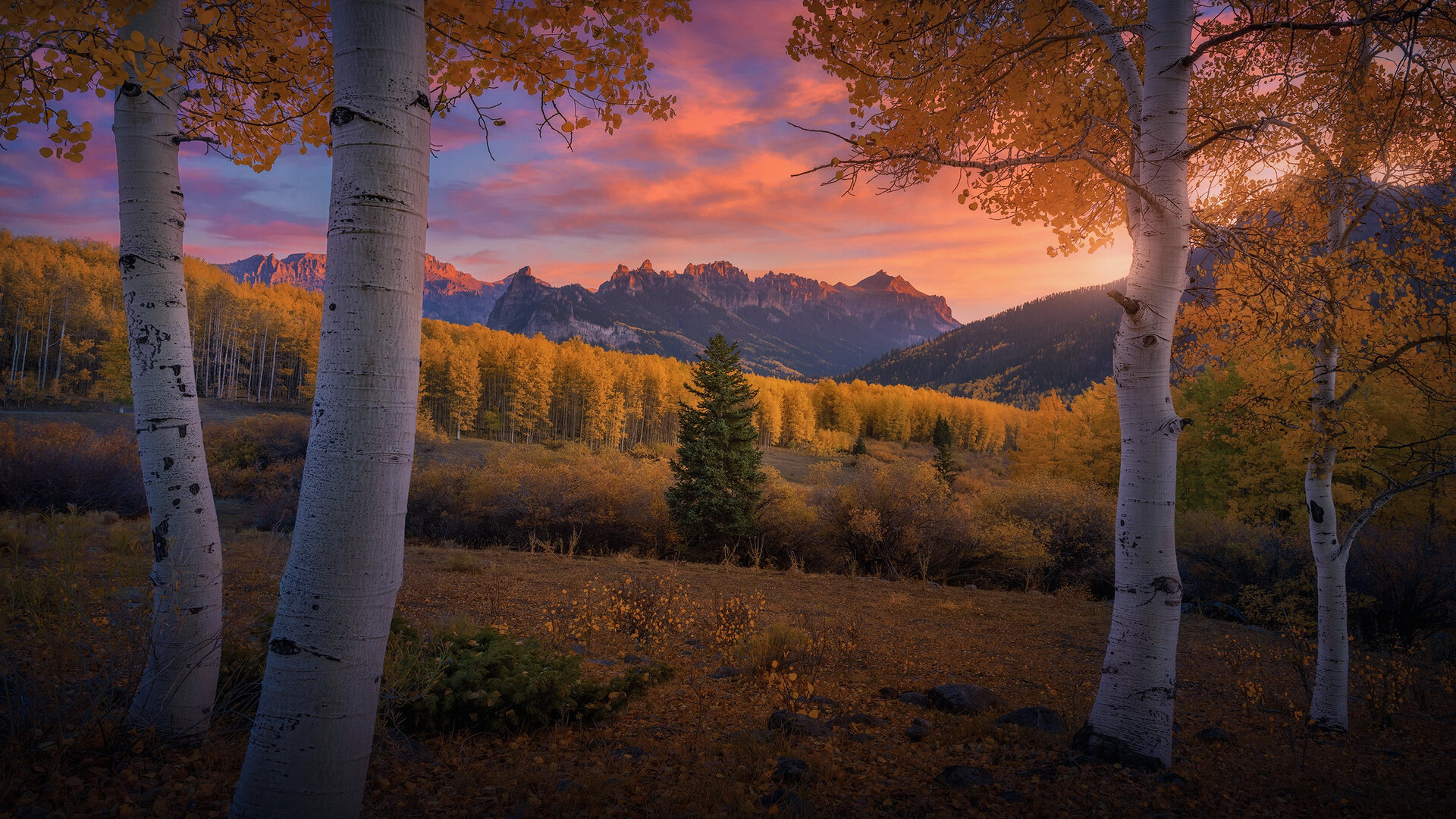 Nature Landscape Sunset Fall Trees Sky Clouds Mountains Birch 1920x1080