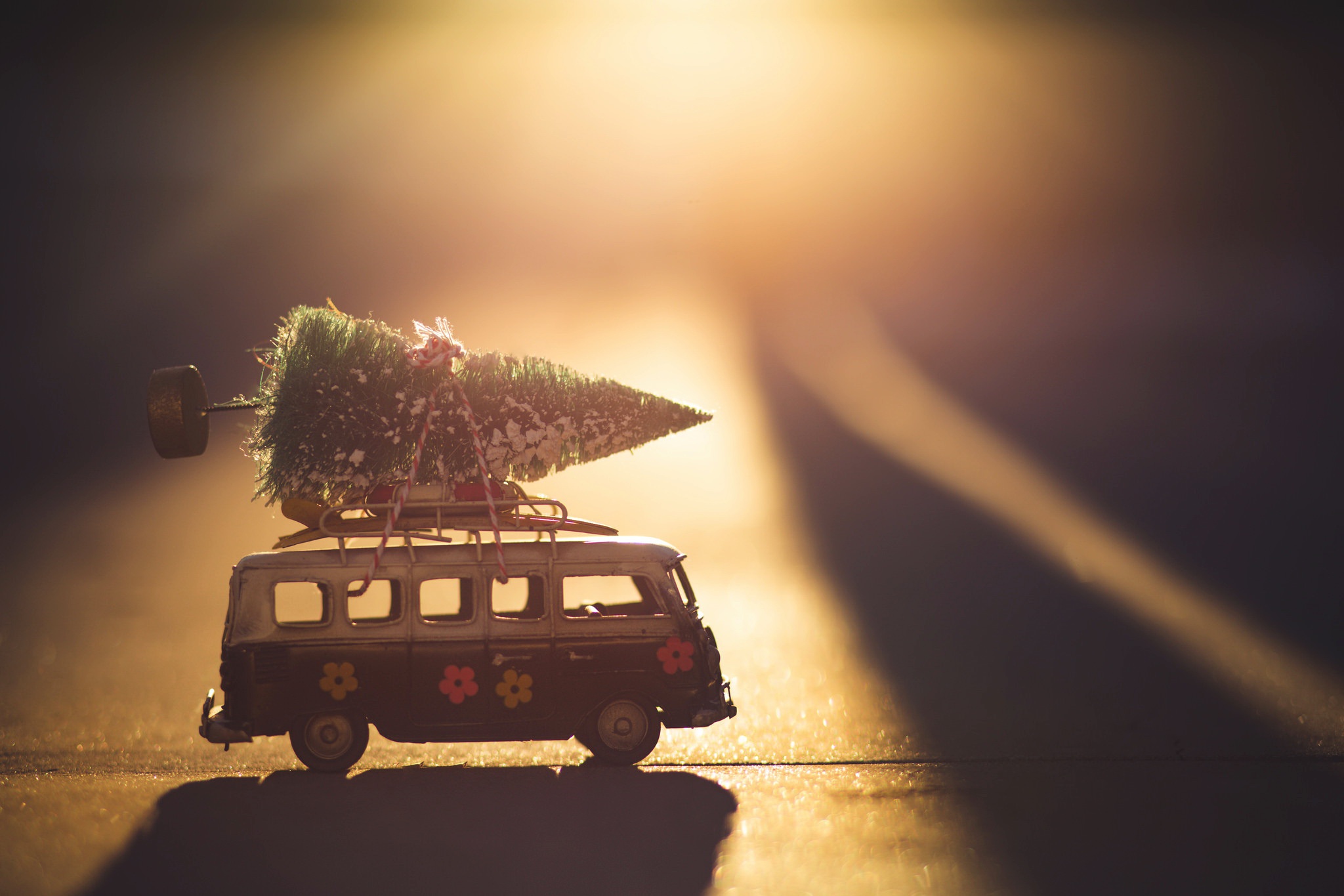 Christmas Car Toy Vehicle Christmas Tree 2048x1365