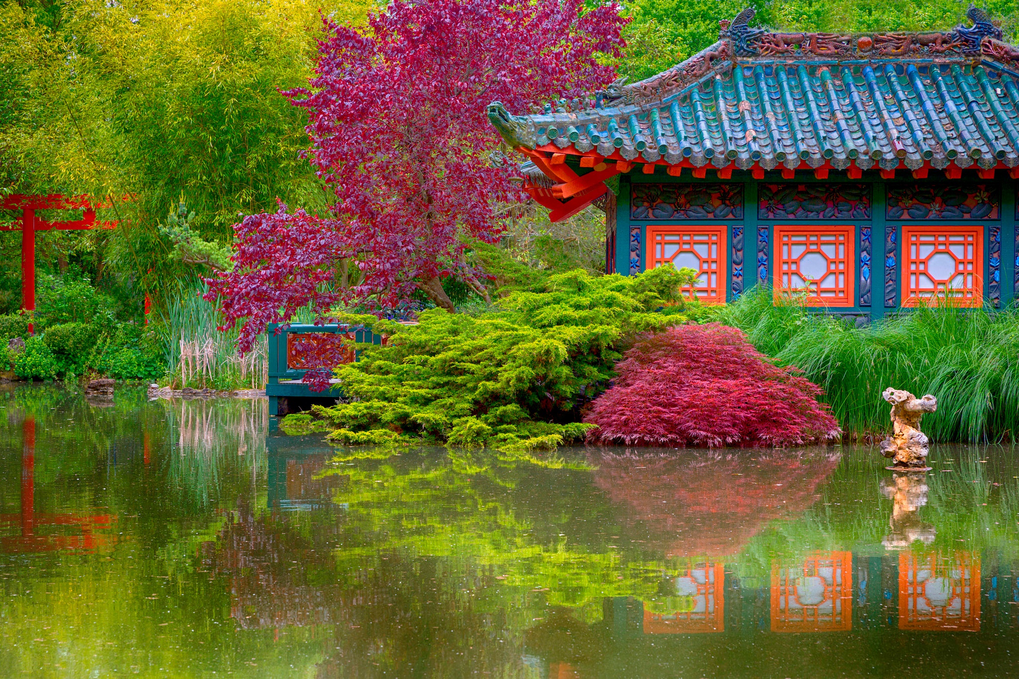 Colorful Japanese Garden Lodge Pond Tree 2048x1365
