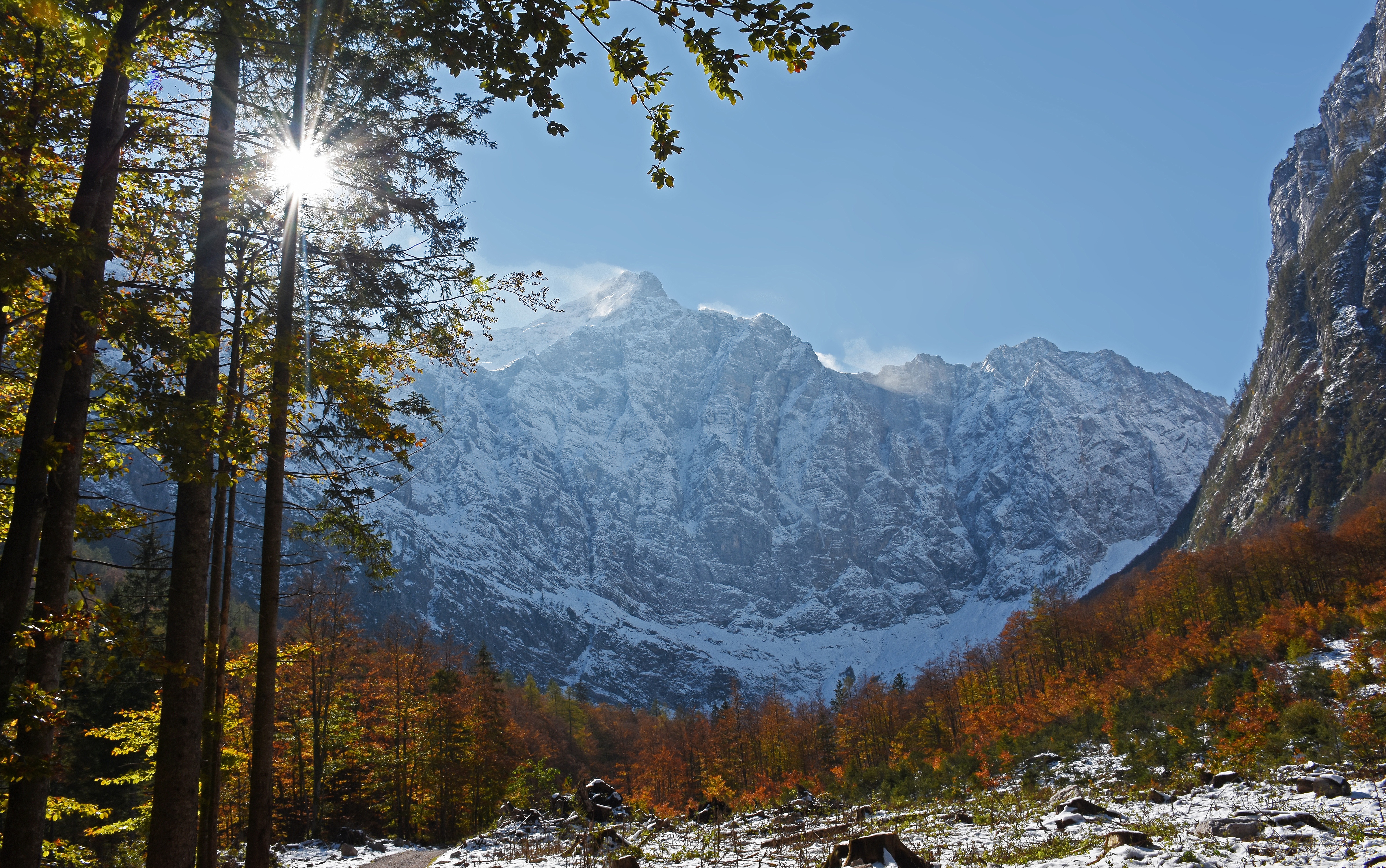 Fall Forest Julian Alps Mountain Slovenia Sunbeam 4800x3008