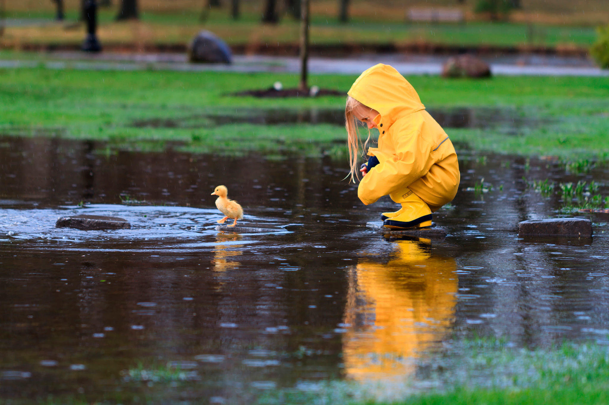Child Cute Duckling Little Girl Rain Raincoat Reflection 2048x1365