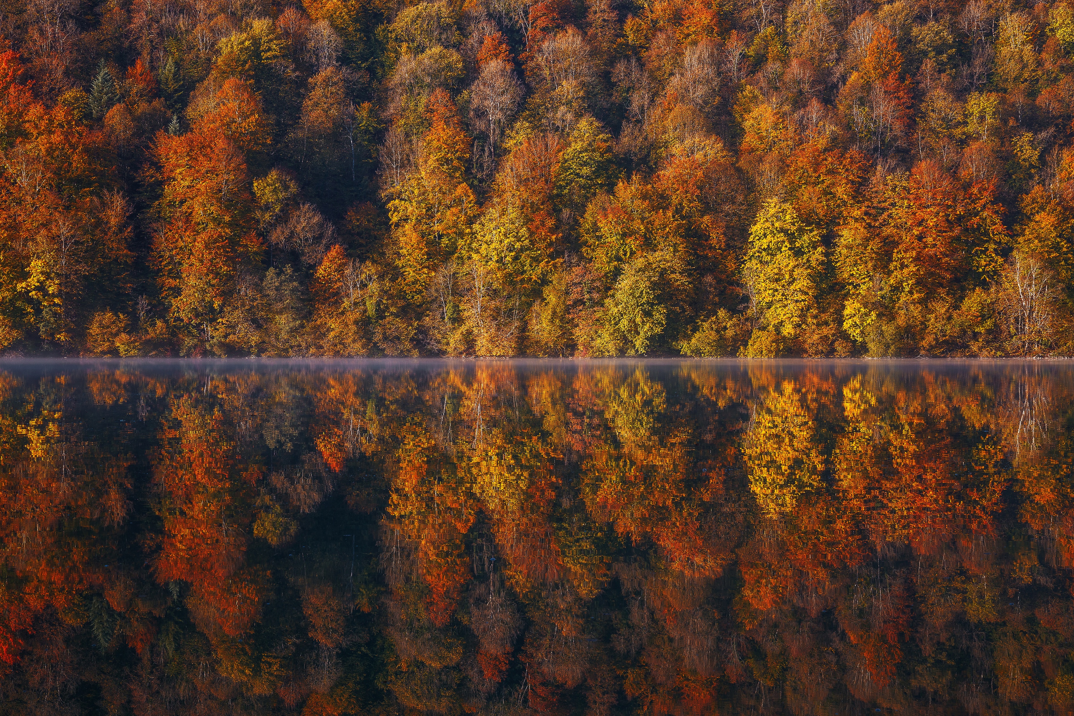 Fall Foliage Forest Lake Nature Reflection 3600x2400
