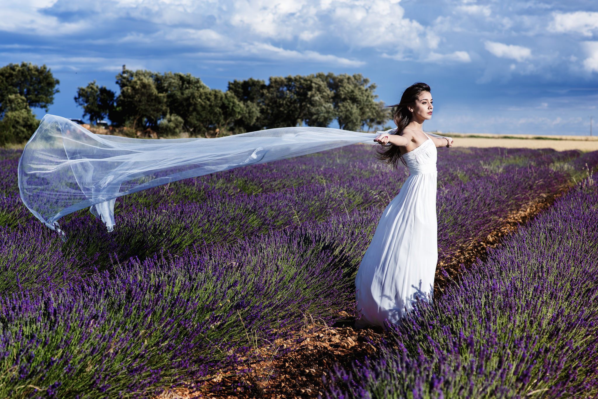 Bride Brunette Depth Of Field Field Girl Lavender Model Purple Flower Summer Wedding Dress White Dre 2048x1367