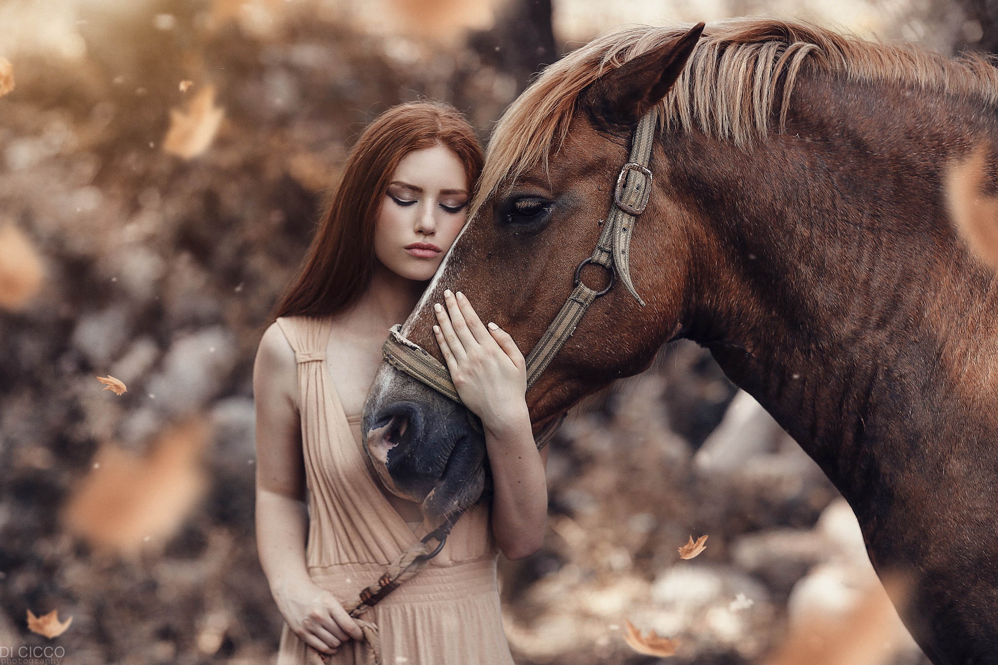 Girl Horse Model Mood Redhead Woman 2048x1365
