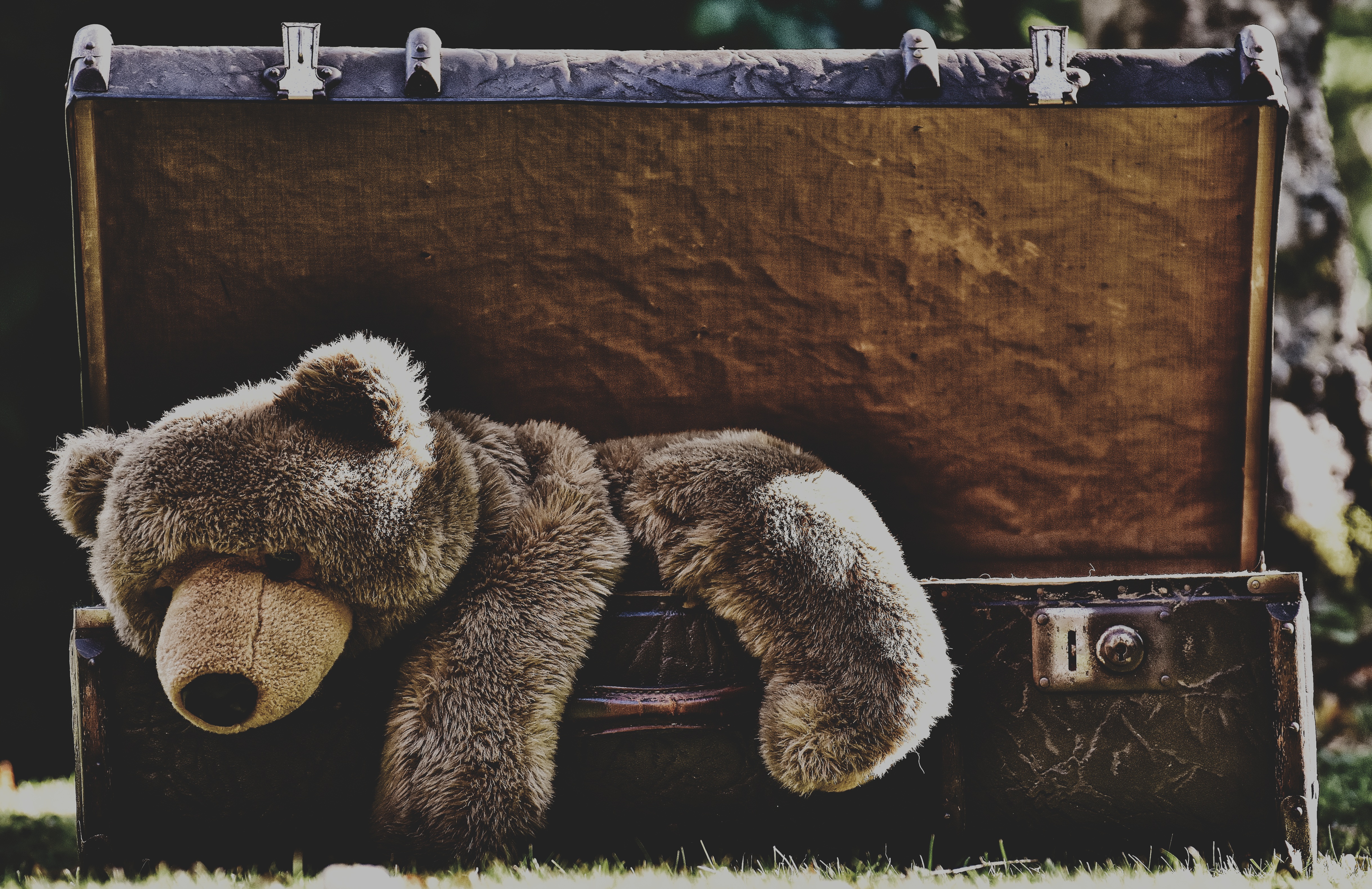 Stuffed Animal Suitcase Teddy Bear 4877x3160