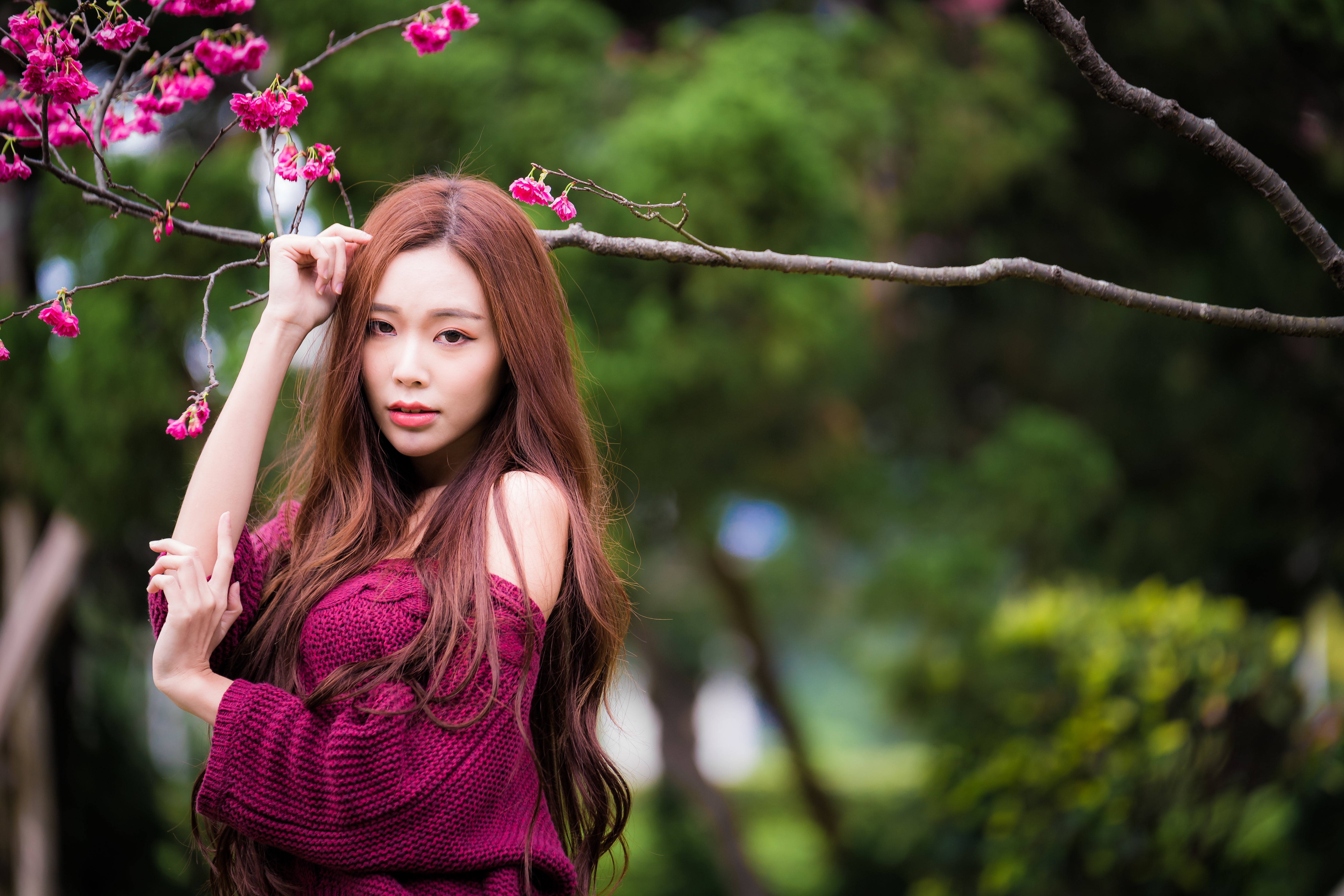 Asian Model Women Long Hair Brunette Depth Of Field Pullover Branch Trees Flower Petals Bushes Leave 6144x4098