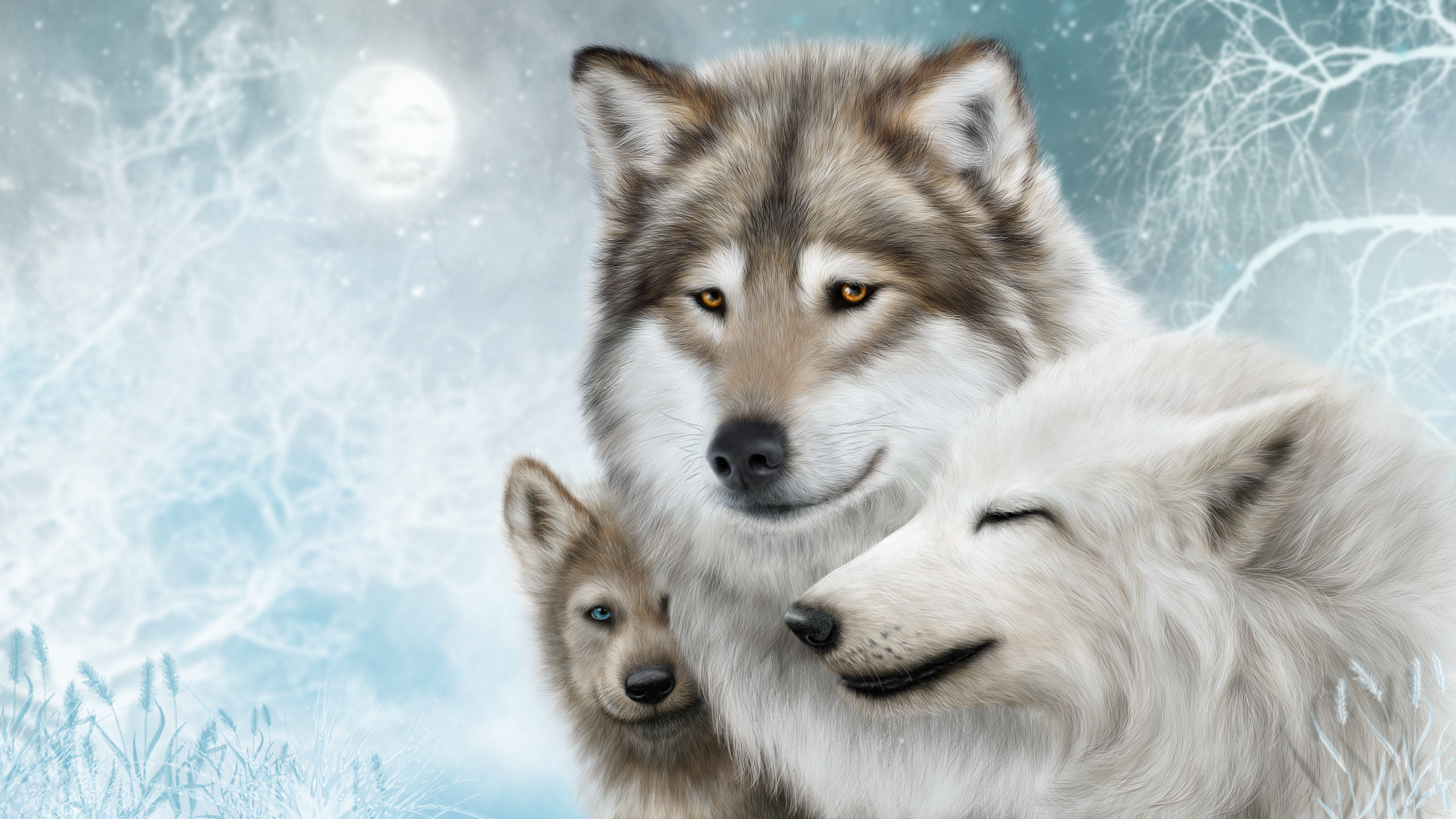 Wolf Snow Winter Animals White Mammals Artwork 2560x1440