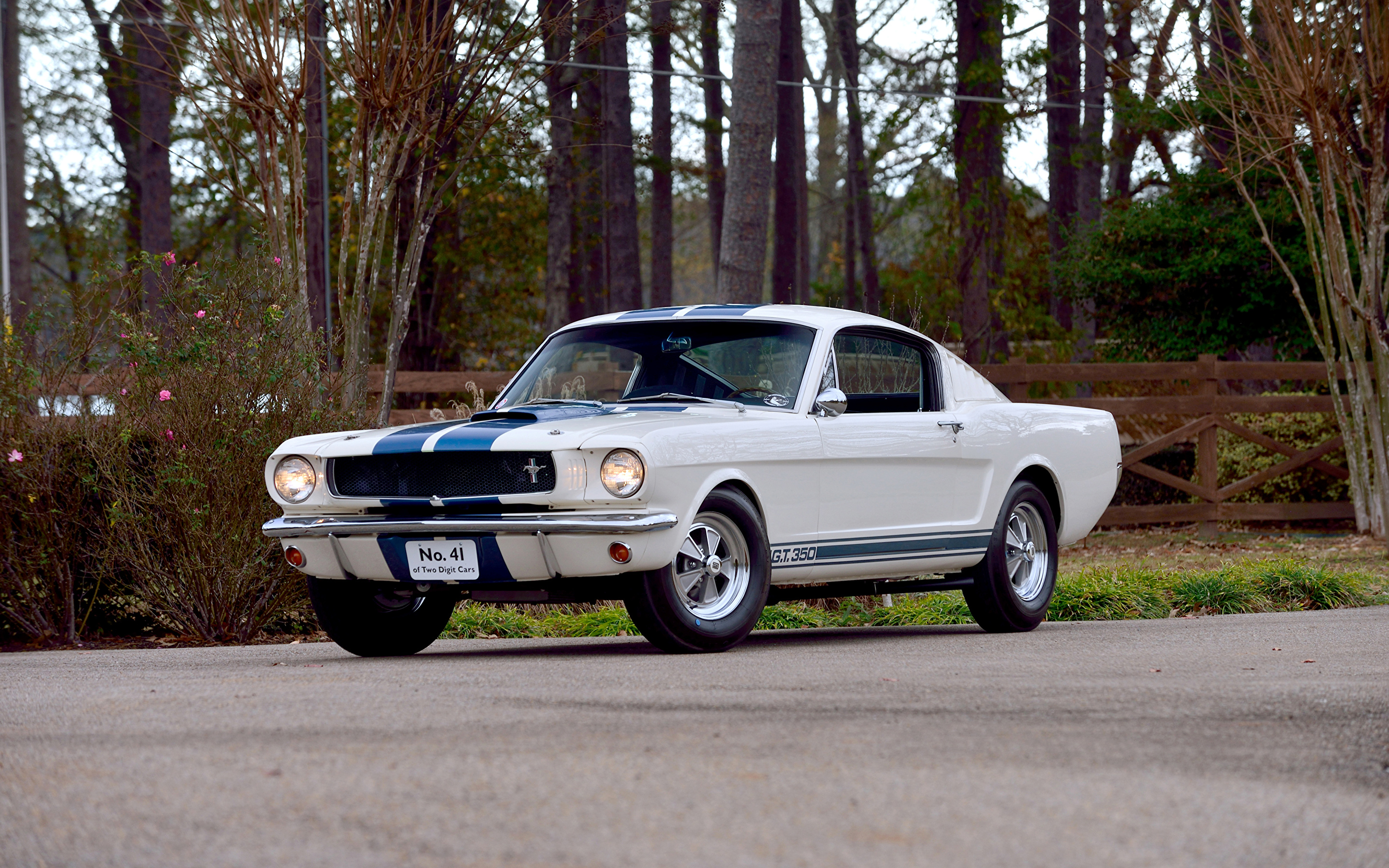Car Fastback Muscle Car Shelby Mustang Gt350 White Car 2880x1800
