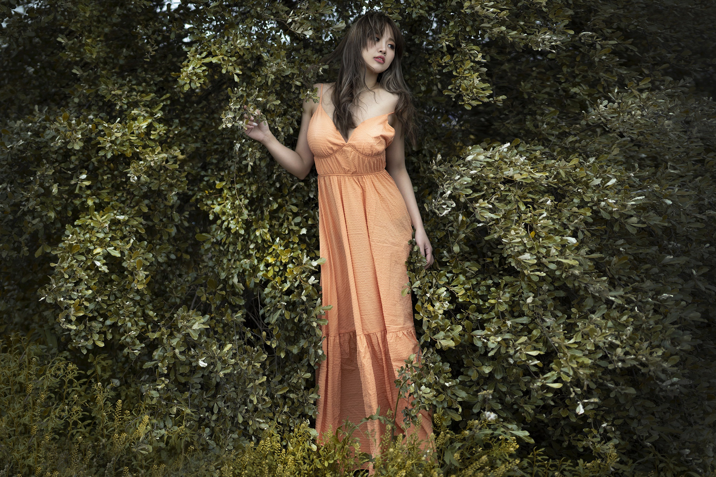 Asian Women Standing Outdoors Women Outdoors Plants Dark Hair Dress Orange Dress Looking Away 2400x1600