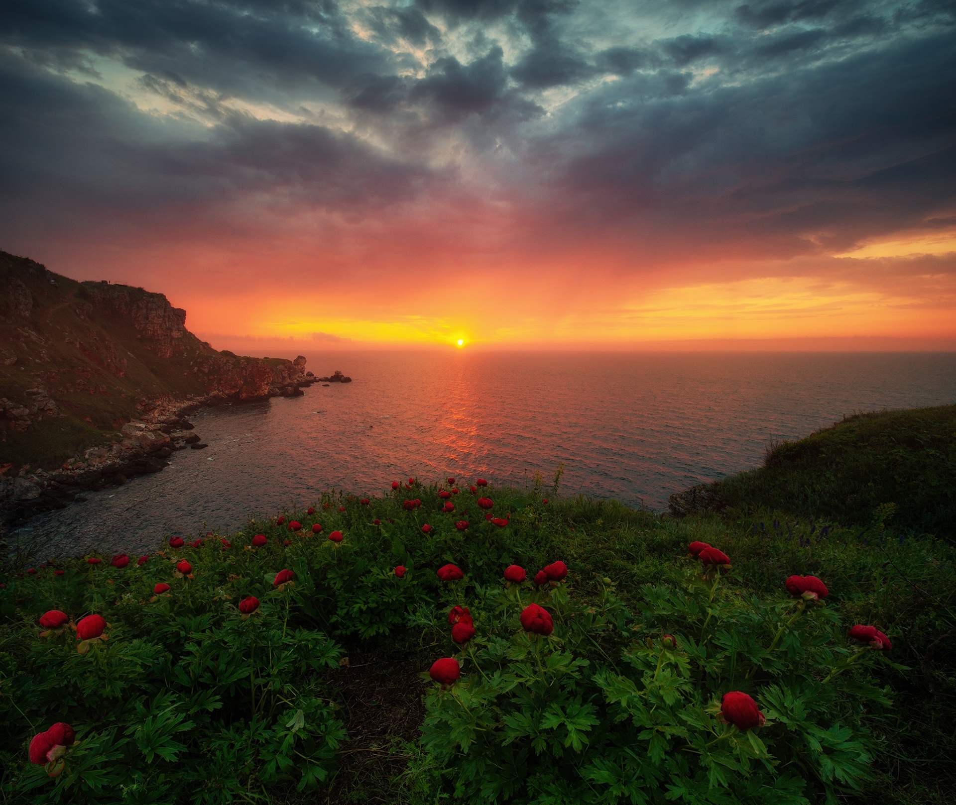 Horizon Nature Ocean Red Flower Sunrise 1920x1618