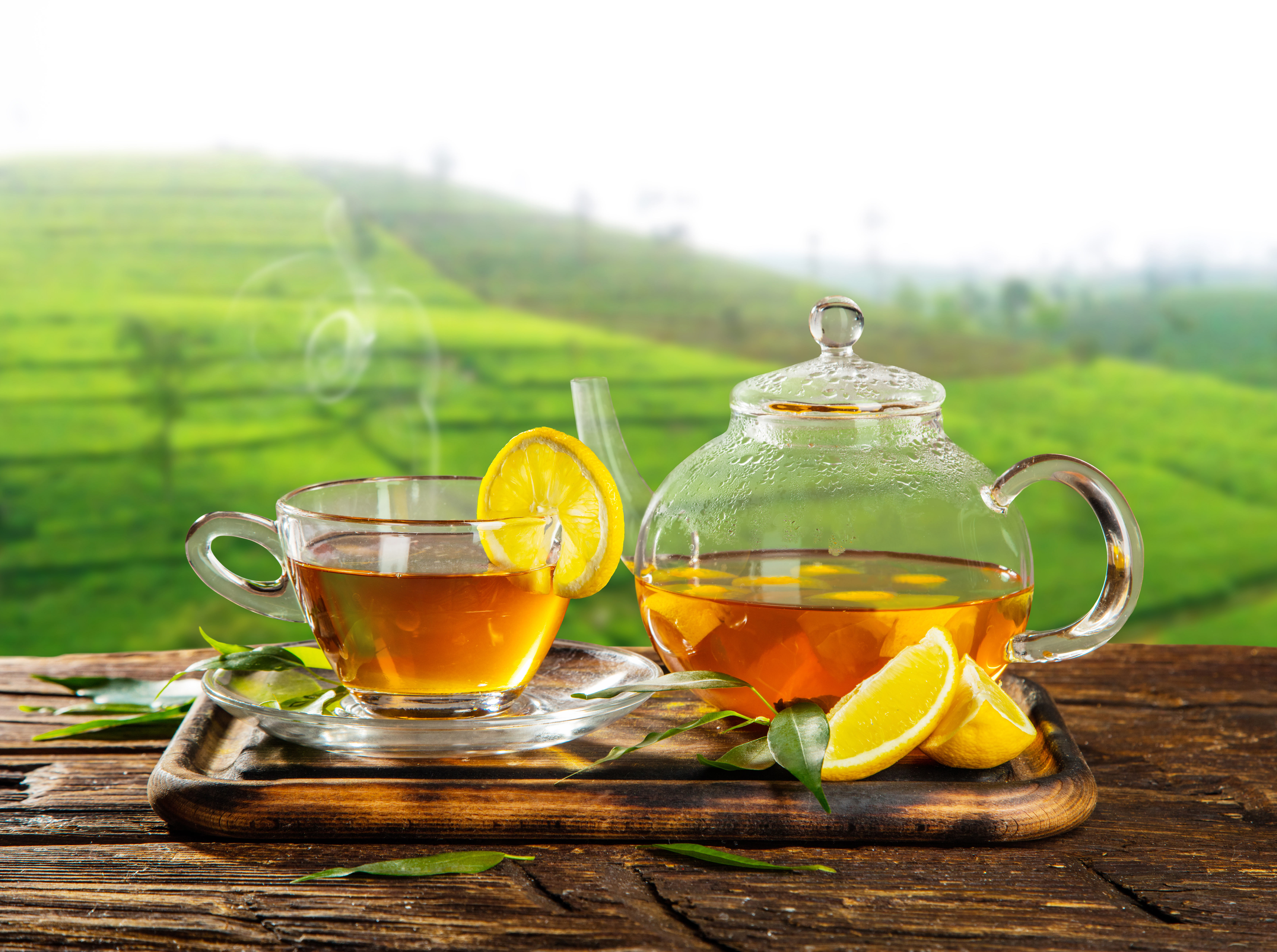 Cup Depth Of Field Drink Lemon Tea Teapot 7000x5220