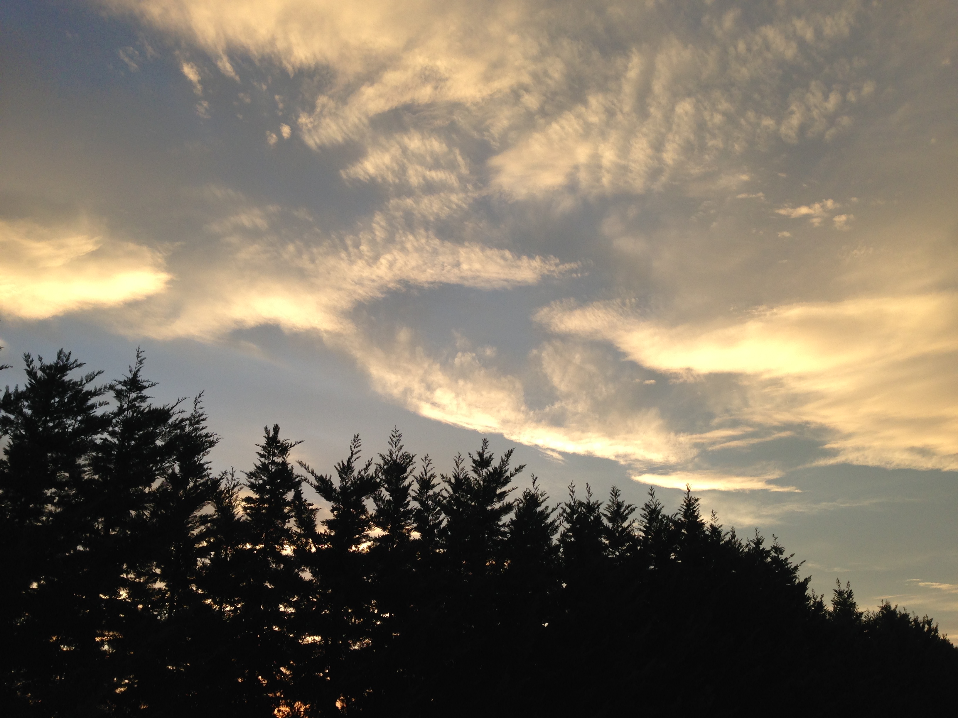 Trees Evening Sunset Clouds Afternoon Outdoors Sky 3264x2448