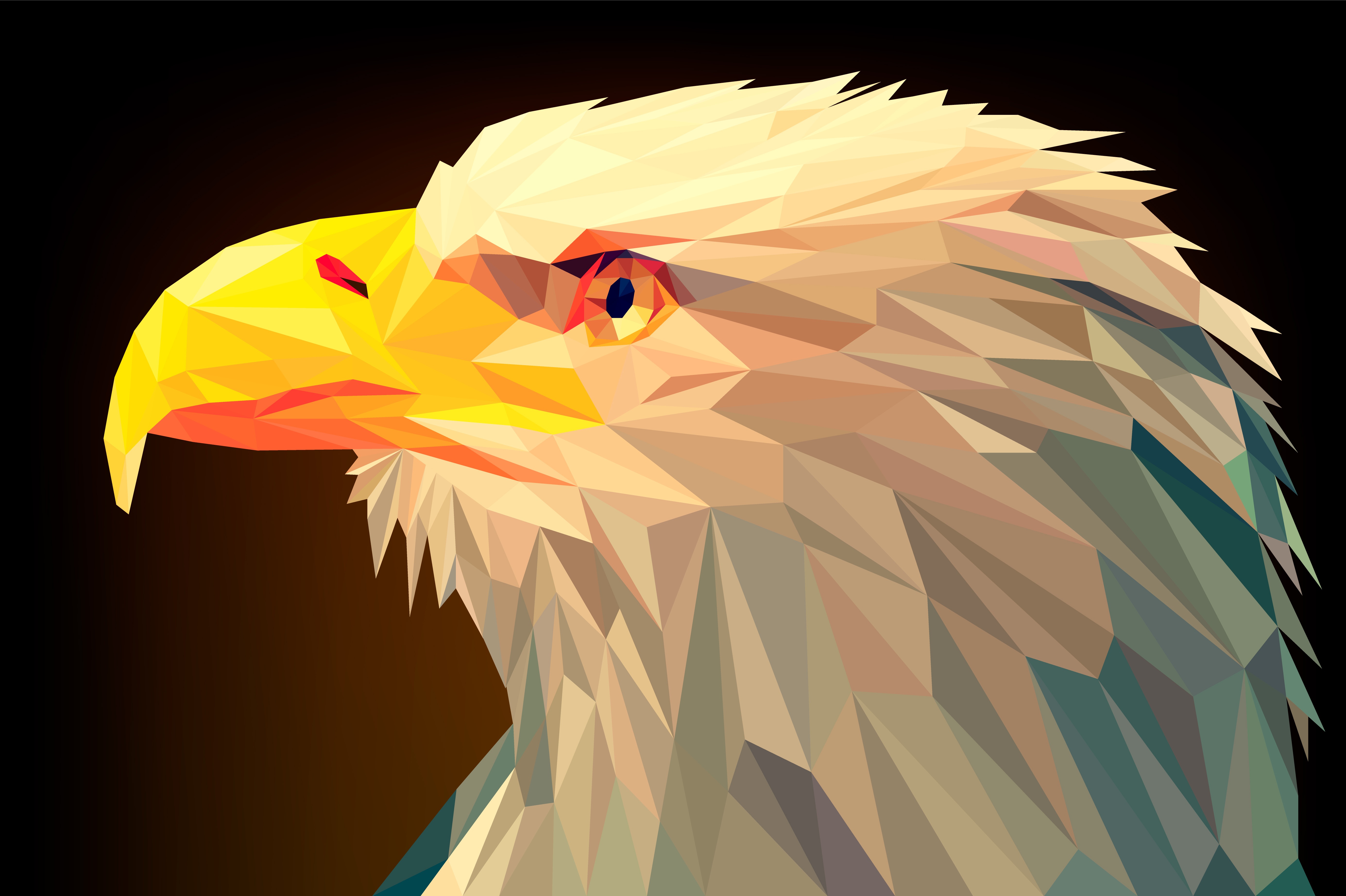 Bird Digital Art Eagle Facets Low Poly Polygon 5542x3690