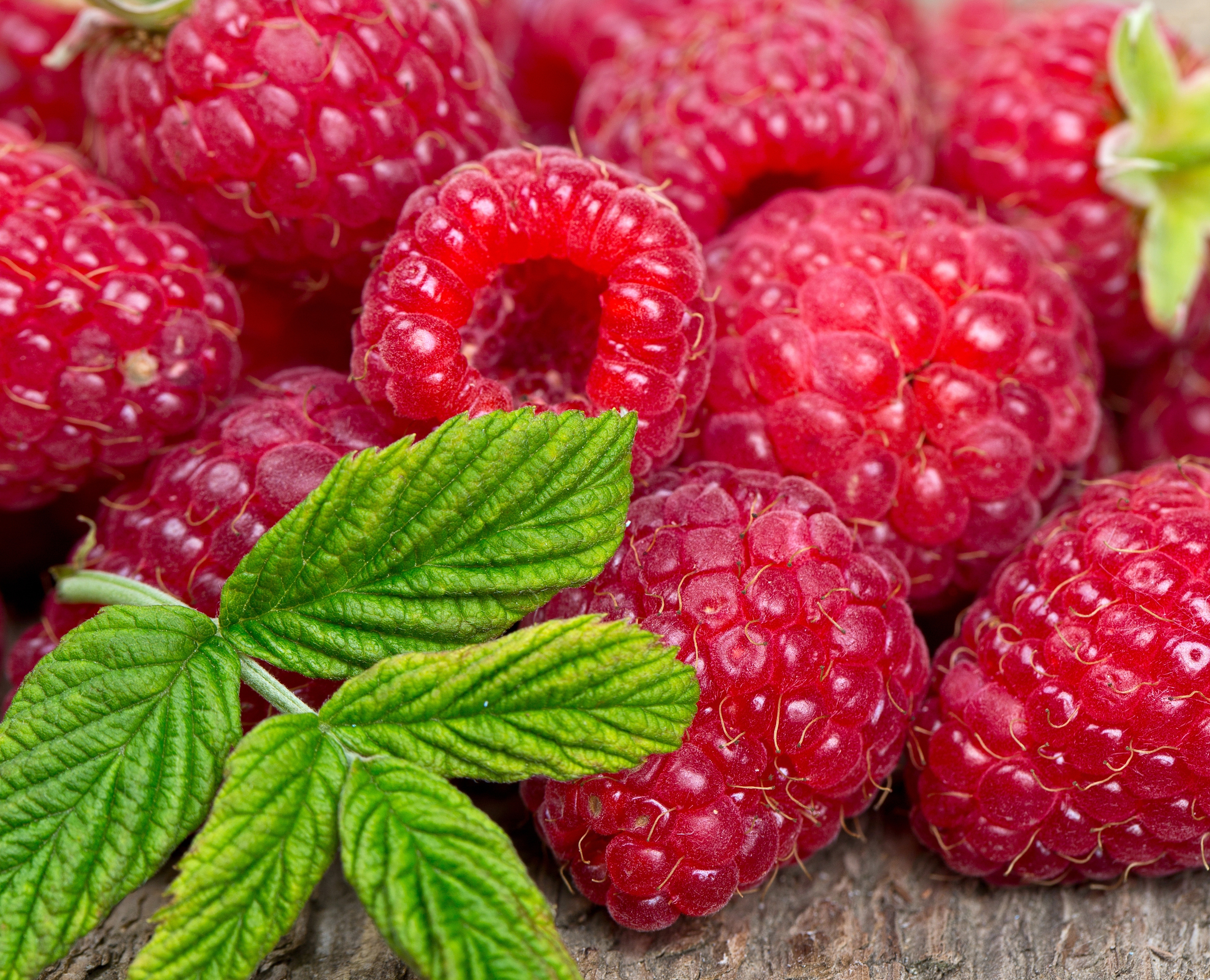 Berry Fruit Raspberry 3840x3112