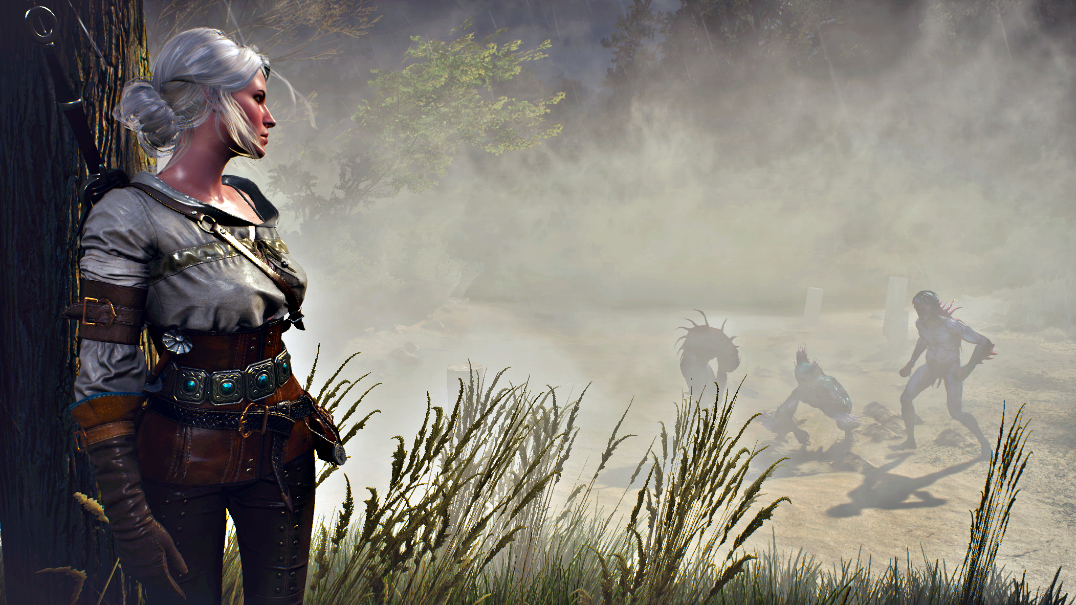 The Witcher The Witcher 3 Wild Hunt 2103x1183