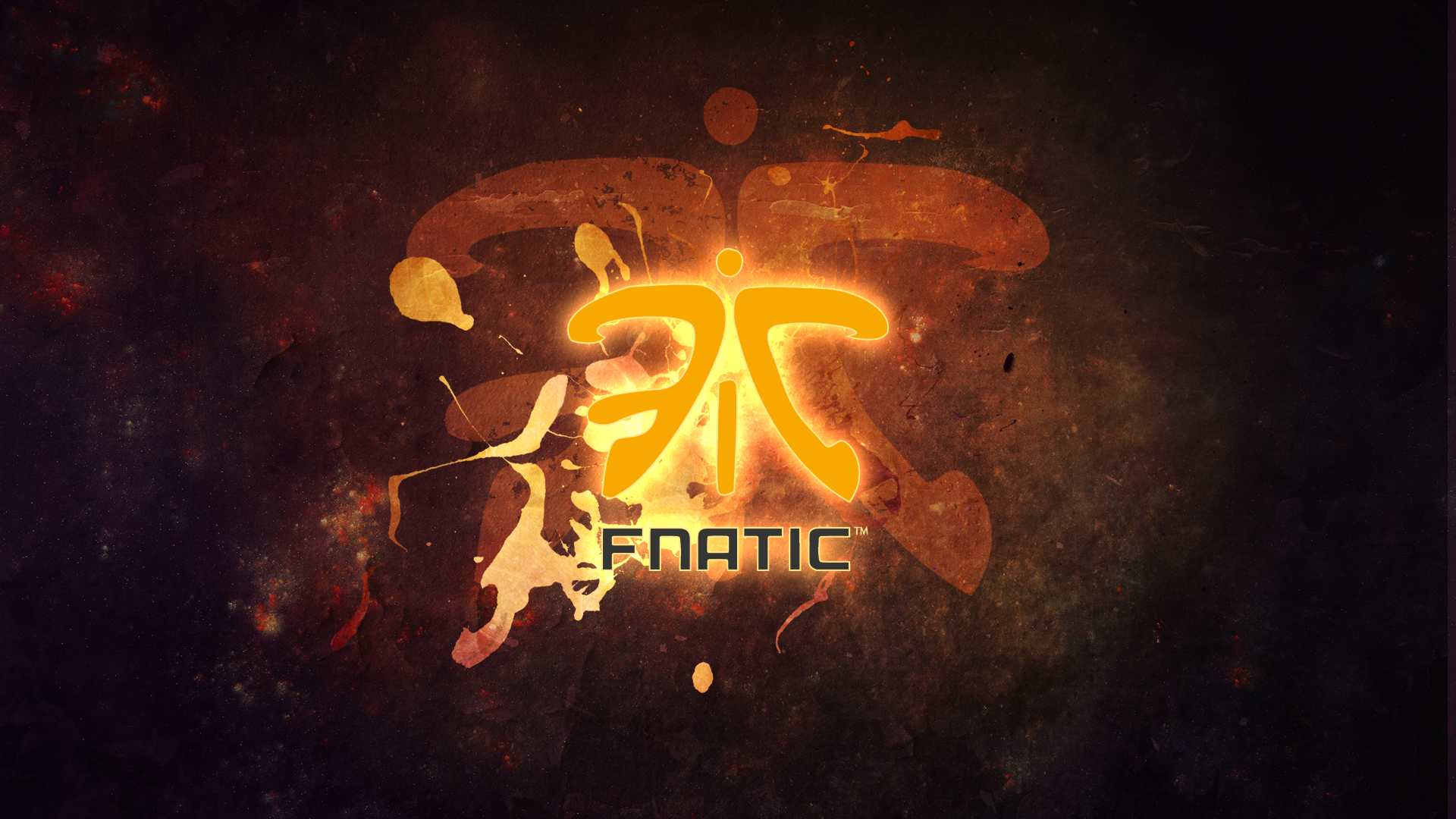 Esports Fnatic Gaming Team 1920x1080