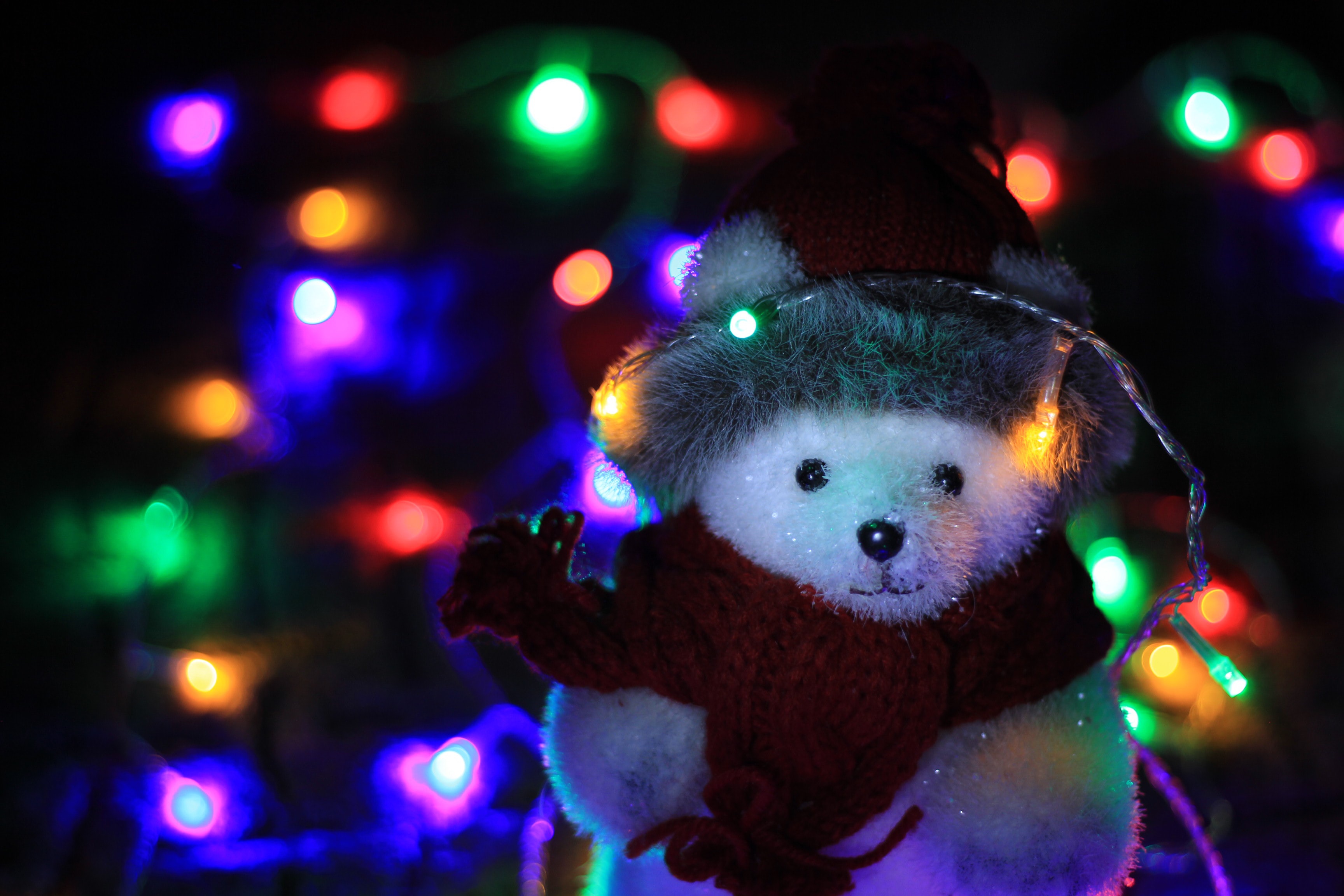 Christmas Teddy Bear 3456x2304