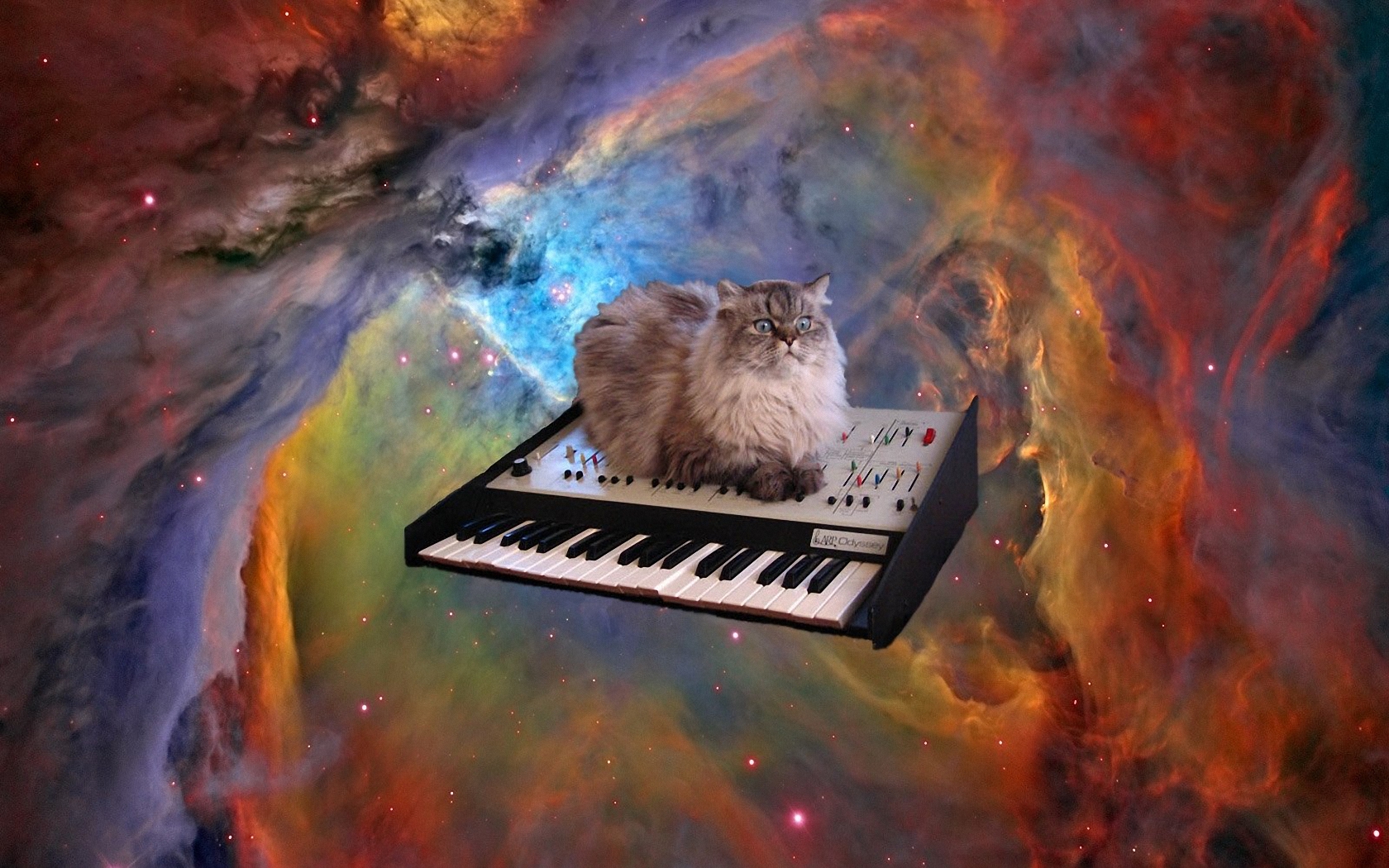 Cat Piano Space 1680x1050