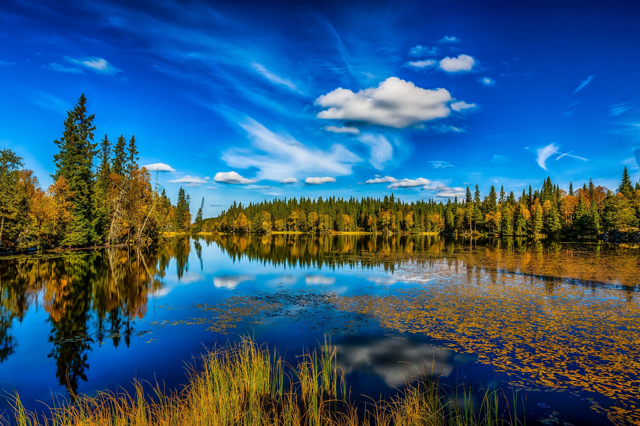 Cloud Fall Forest Lake Nature Reflection Sky 2048x1365